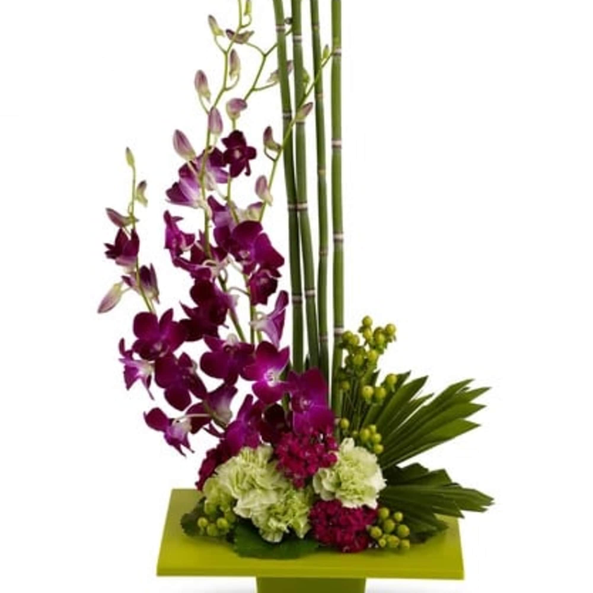 Purple orchids arranged with green bamboo in a square vase