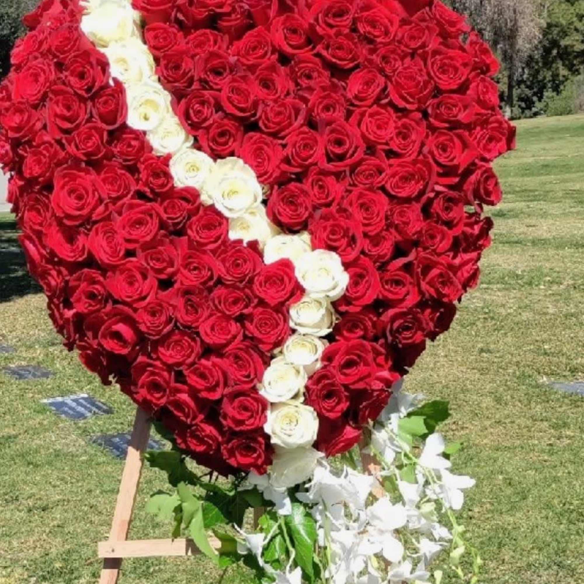 Heart-shaped rose display with a white ribbon and floral drape