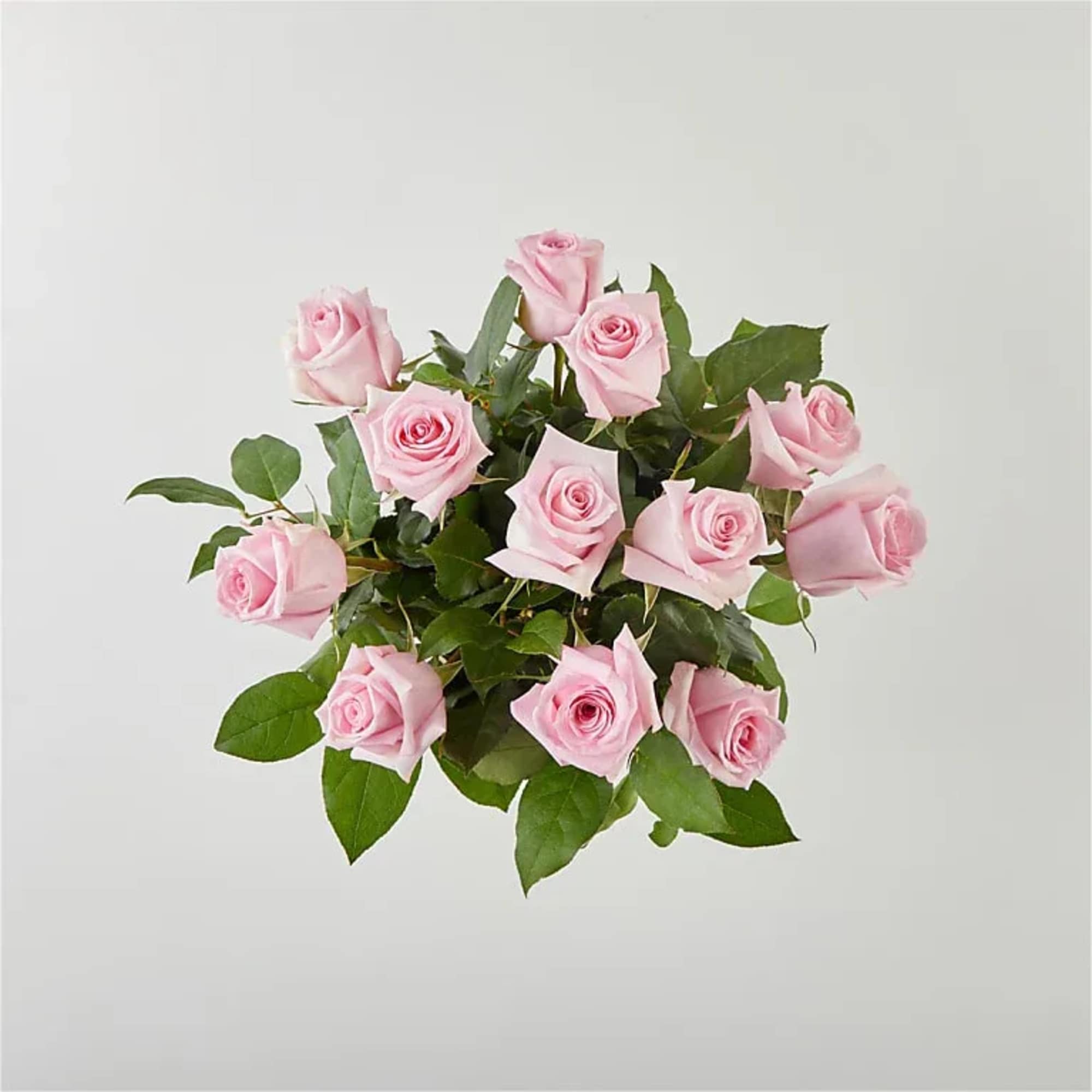 Bouquet of light pink roses with green foliage