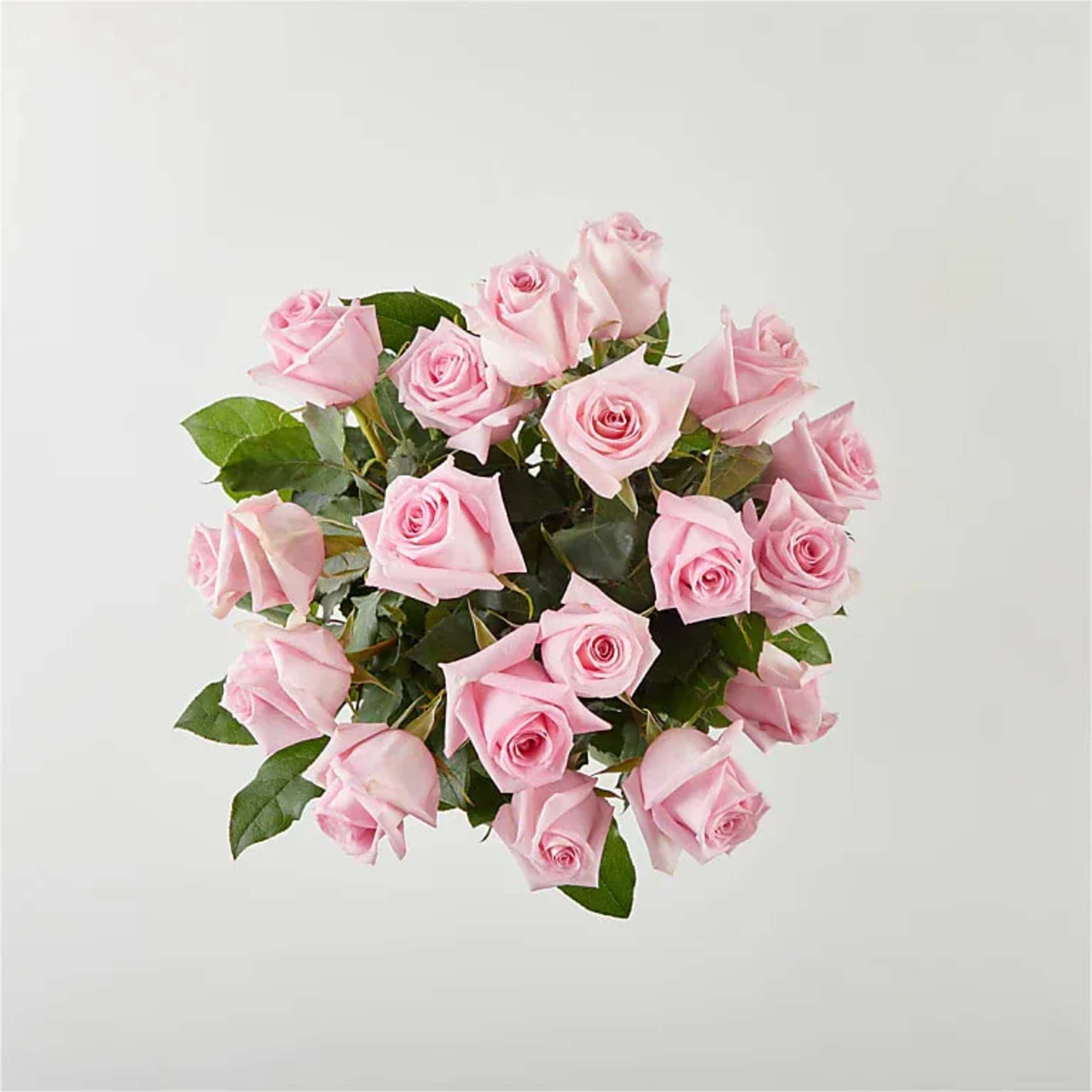 Bouquet of light pink roses with green foliage