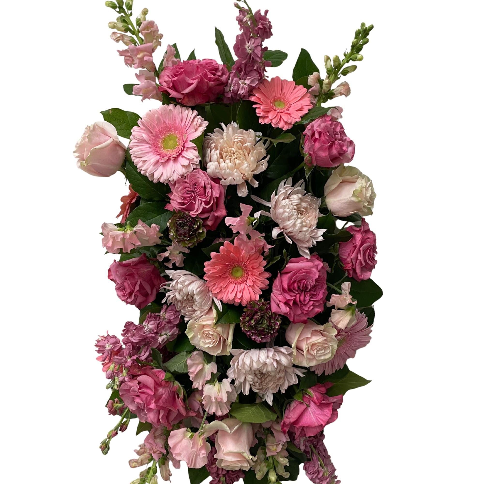 Pink Compassion features a soft mix of blush and deeper pink blooms