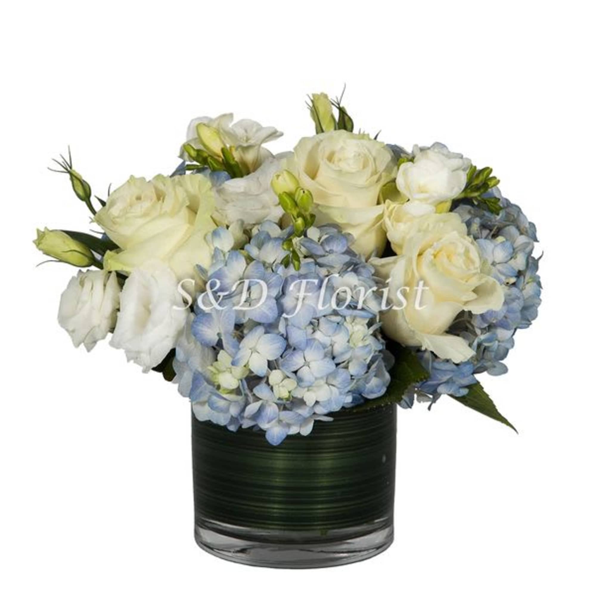 White roses and blue hydrangeas in a dark glass vase