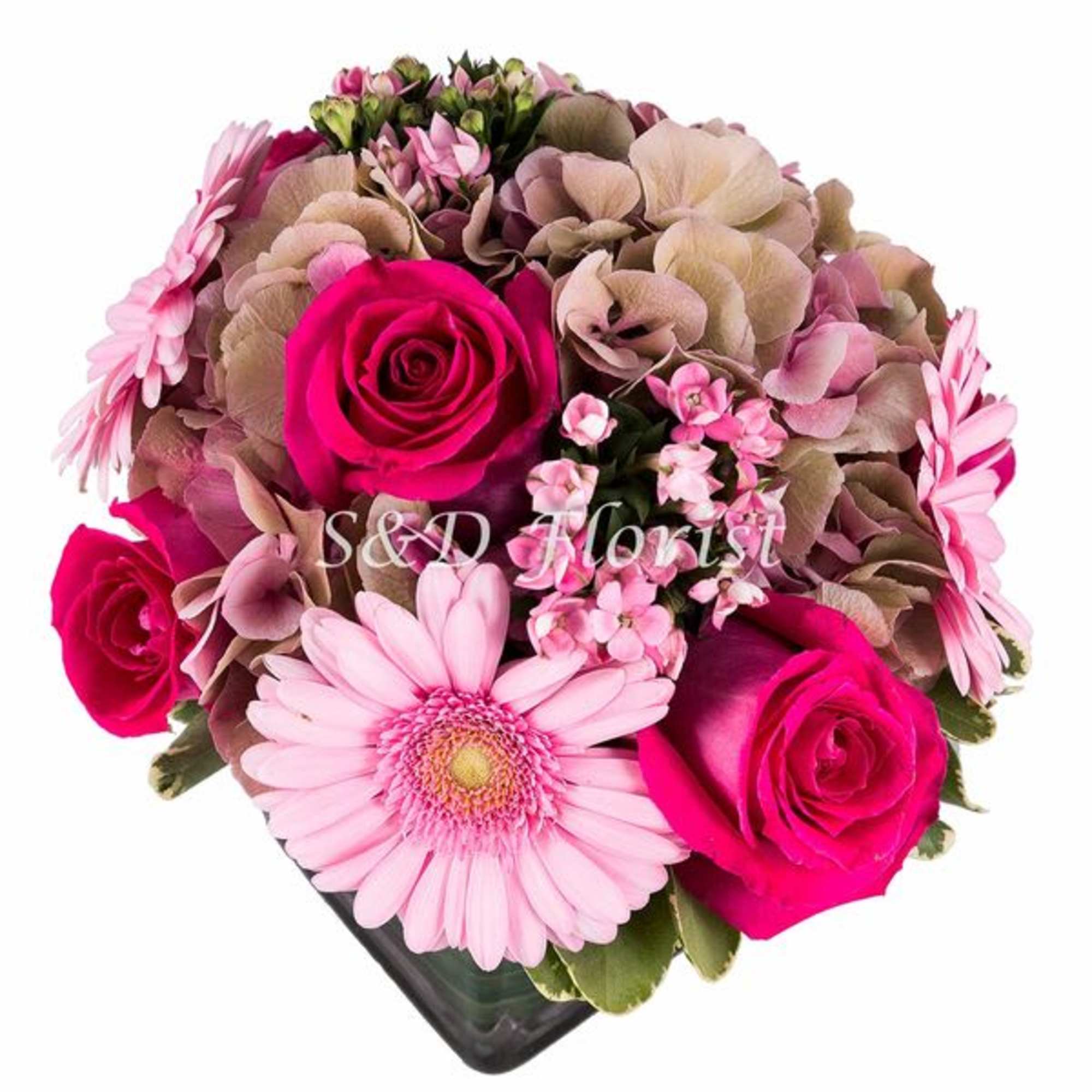 Pink and magenta roses with a pale pink daisy in a black vase