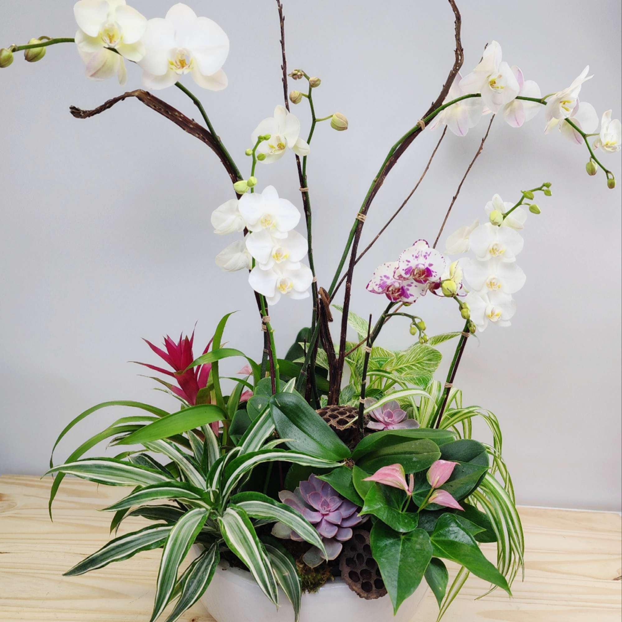 White orchids arranged in a low white bowl with assorted succulents and foliage