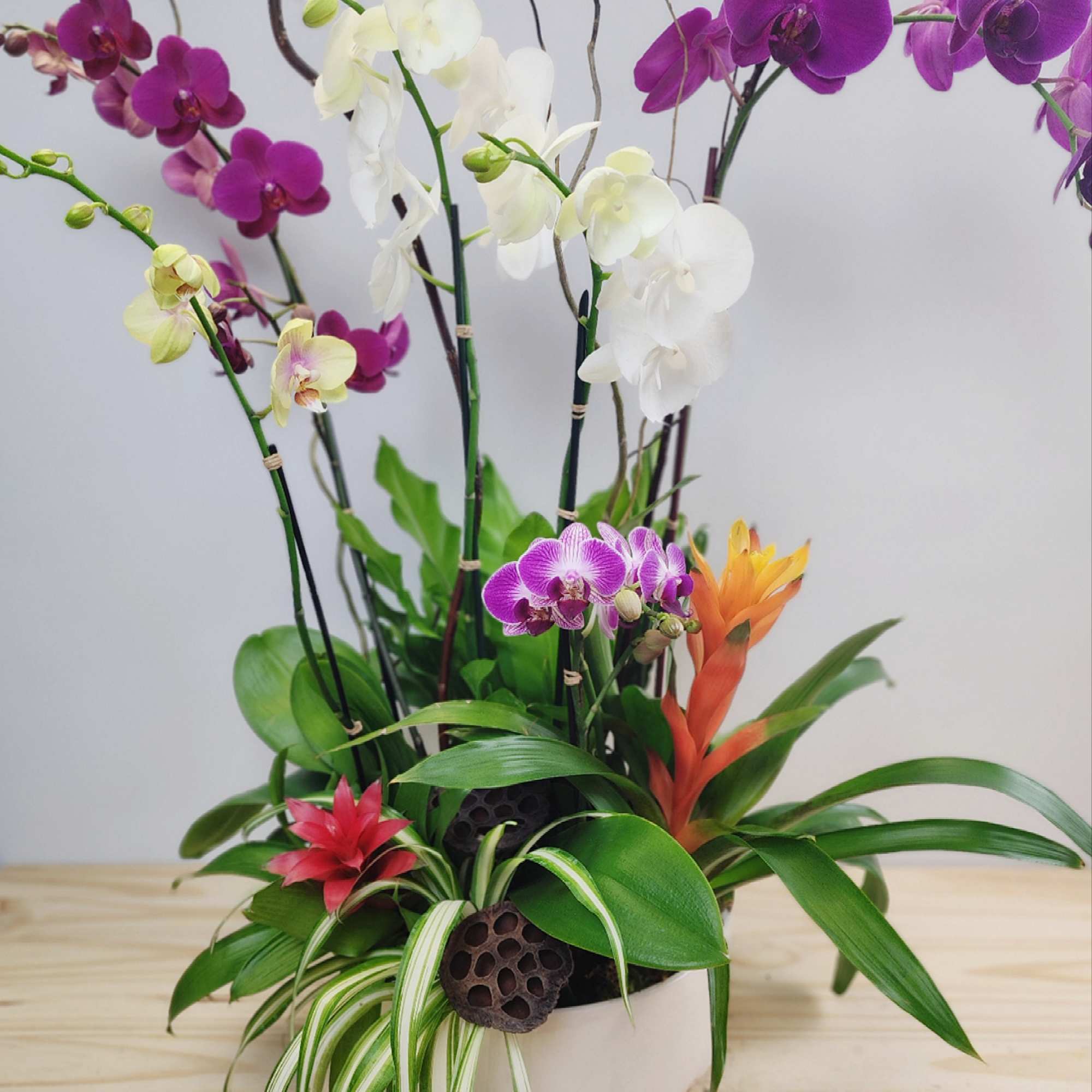 Arrangement of purple and white orchids in a white bowl planter
