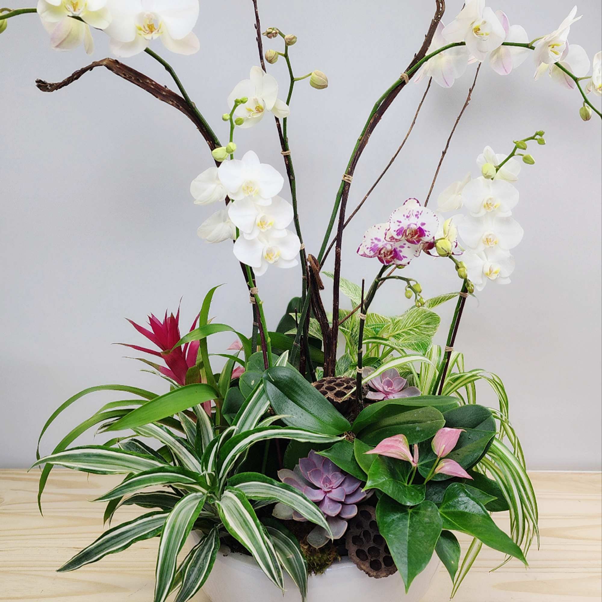 White orchids arranged in a low white bowl with mixed foliage and succulents