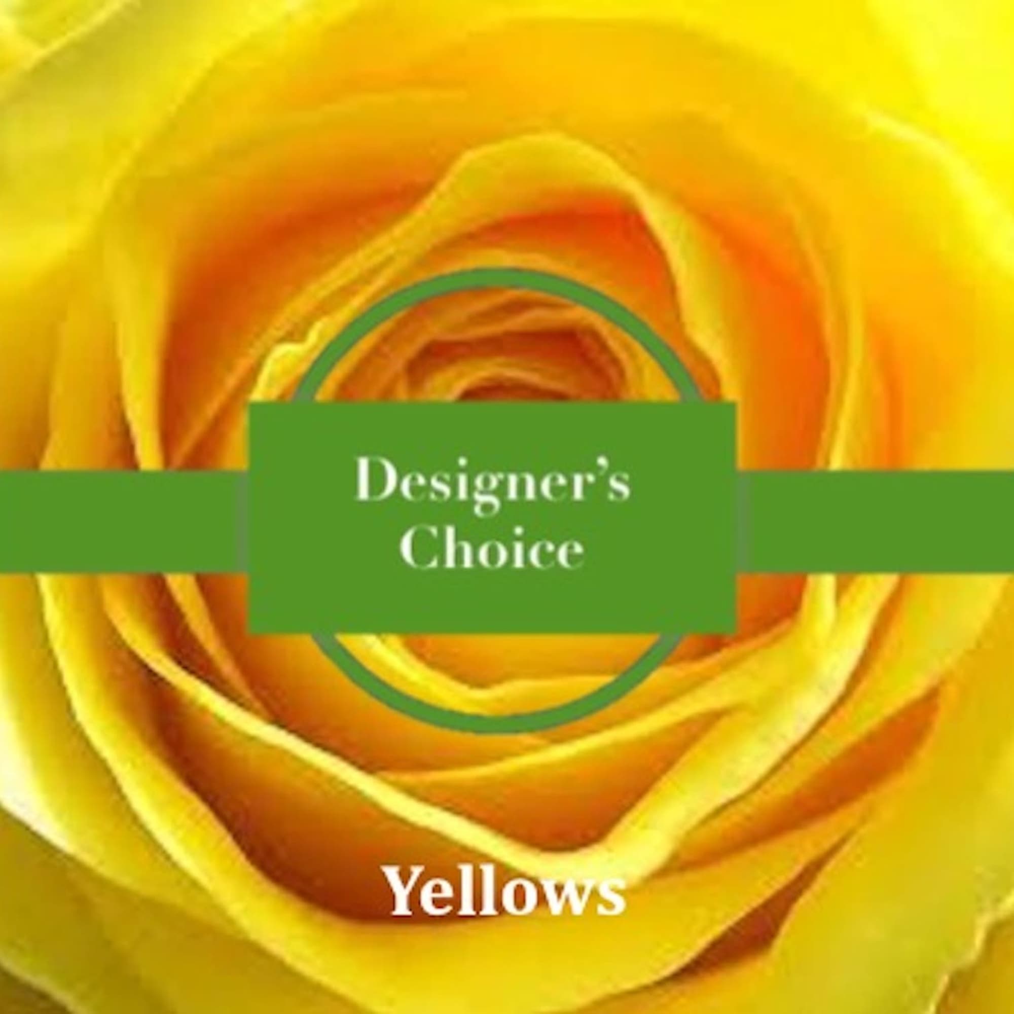Close-up of a bright yellow rose with a green banner reading Designer's Choice.