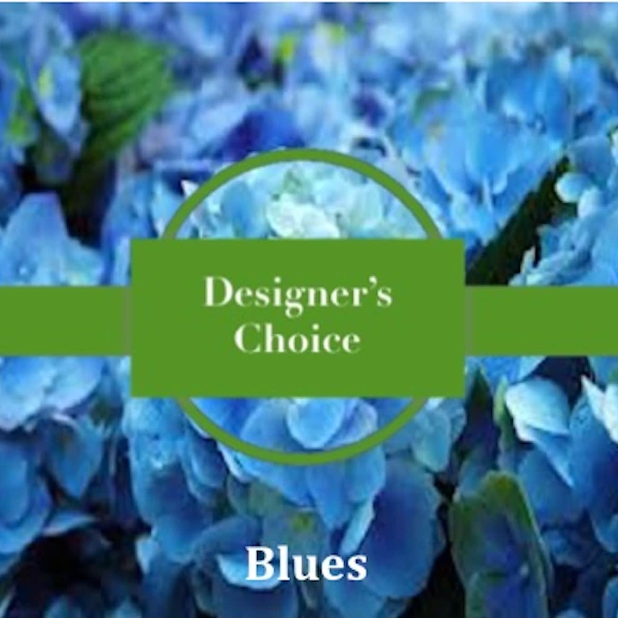 Close-up of clustered blue hydrangea blooms with a green banner reading Designer's Choice Blues
