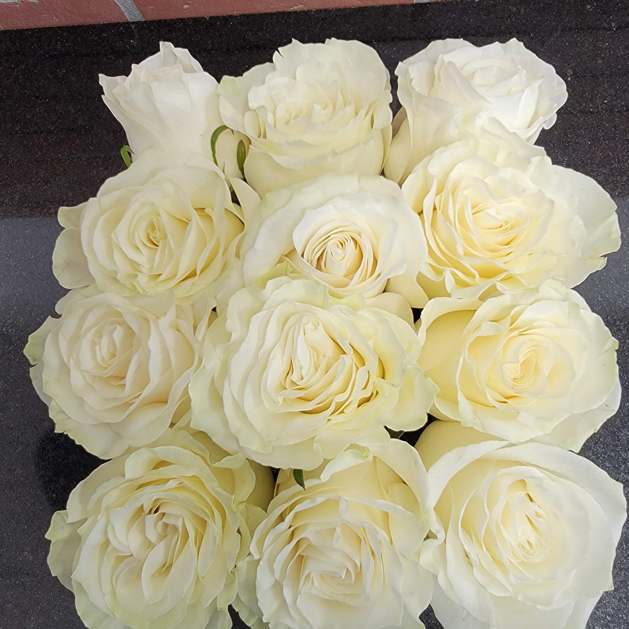 Cluster of ivory roses arranged closely together on a dark surface