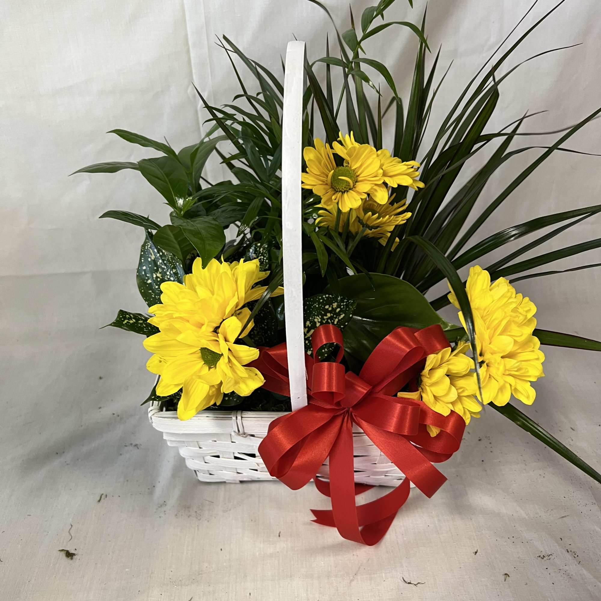 Yellow daisies in a white basket with a red bow