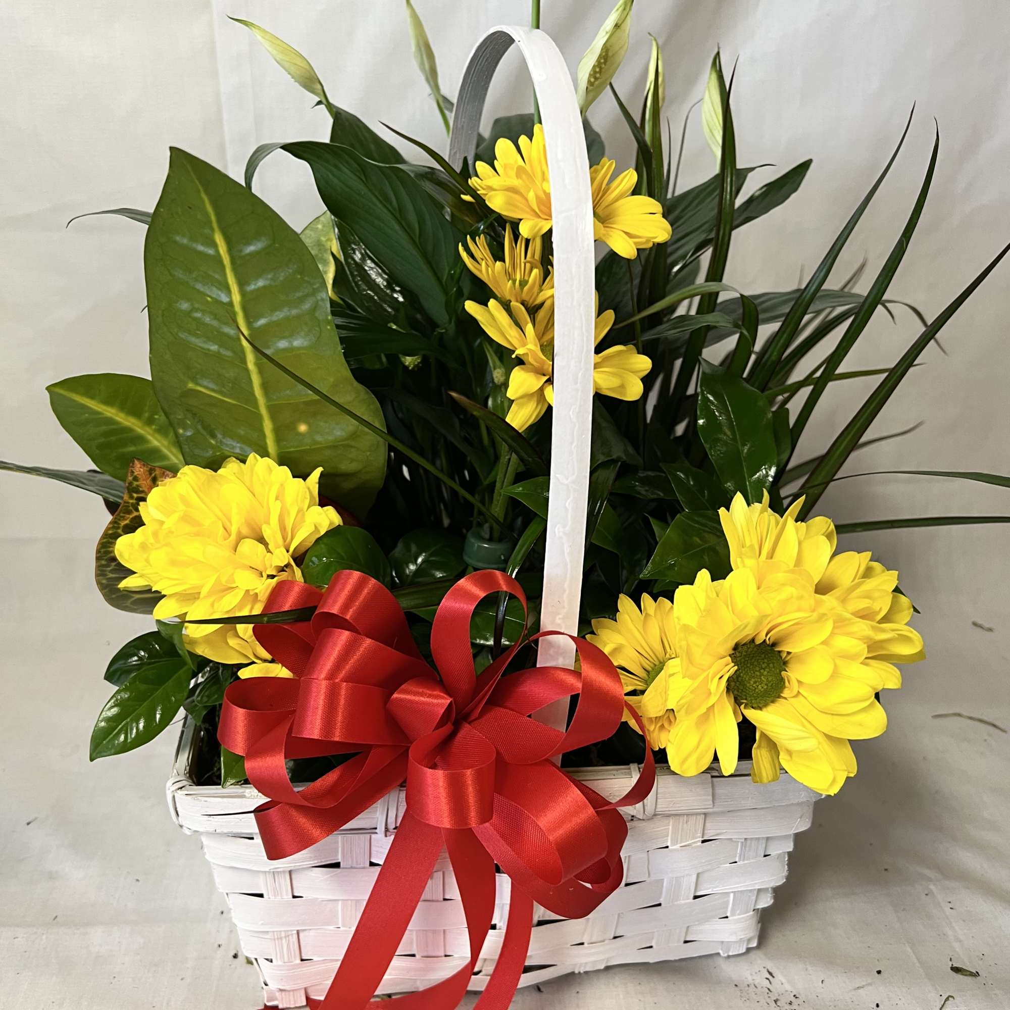 Yellow daisies in a white basket with a red ribbon
