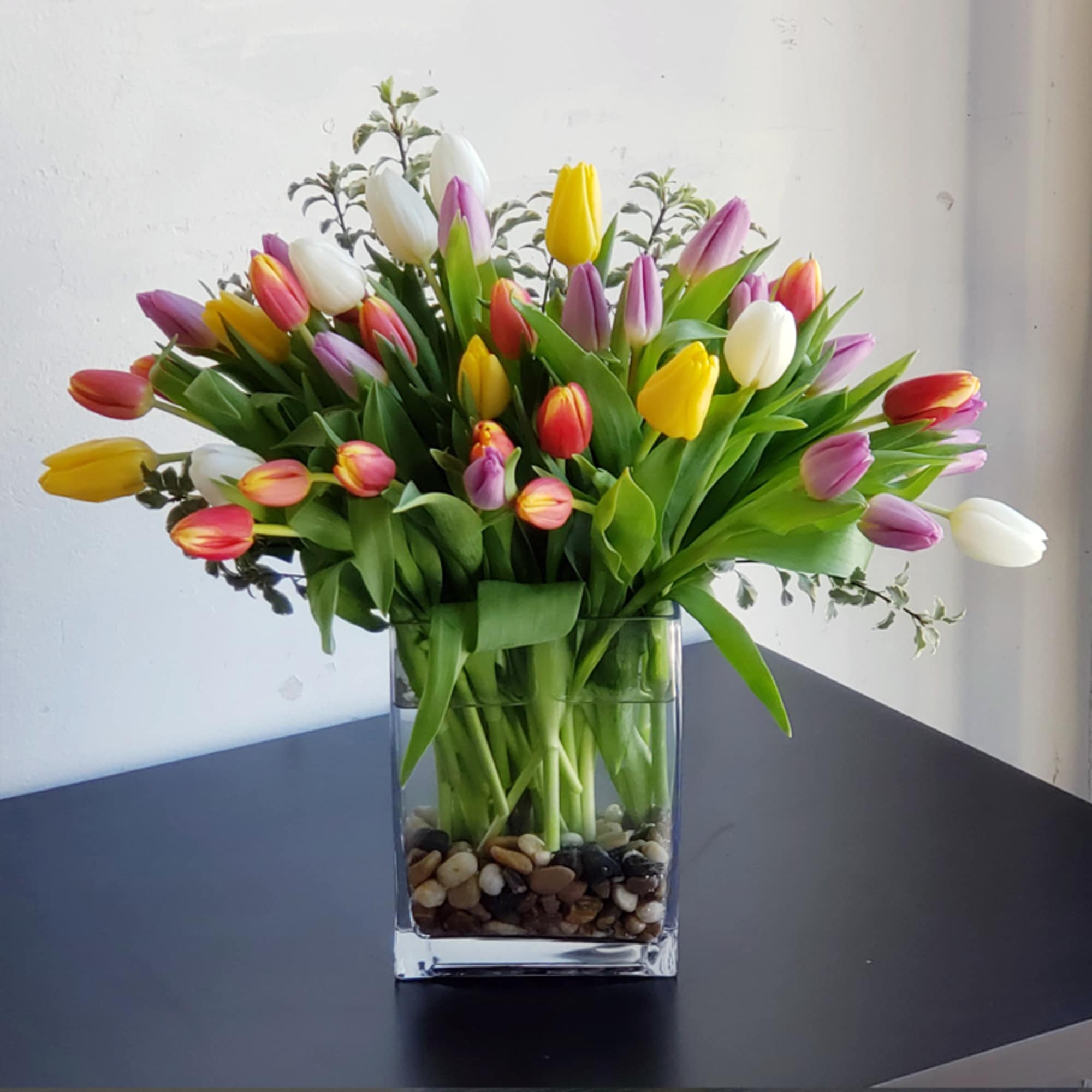 A vibrant medley of tulips, boasting an array of hues, is paired