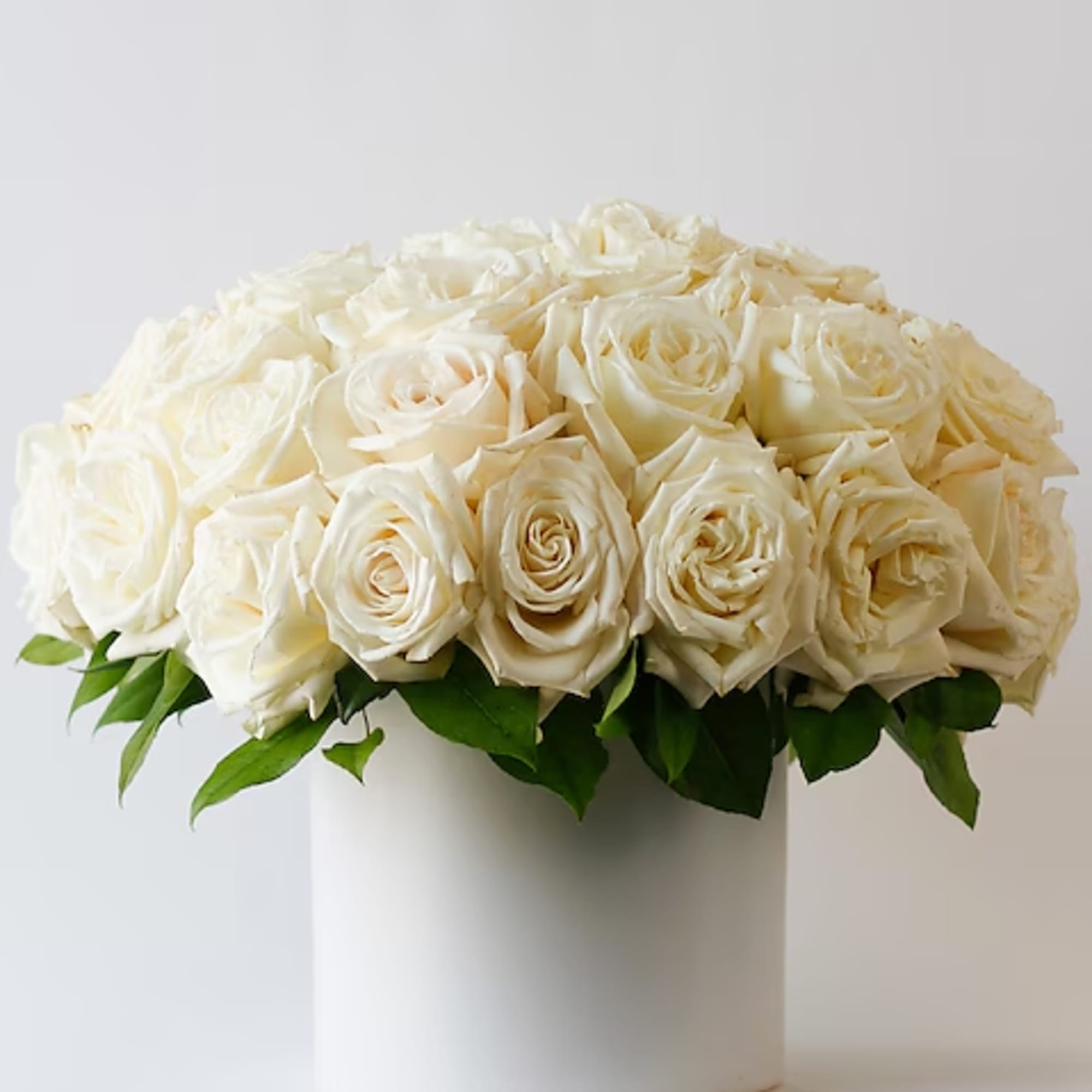 White rose arrangement in a white cylindrical vase