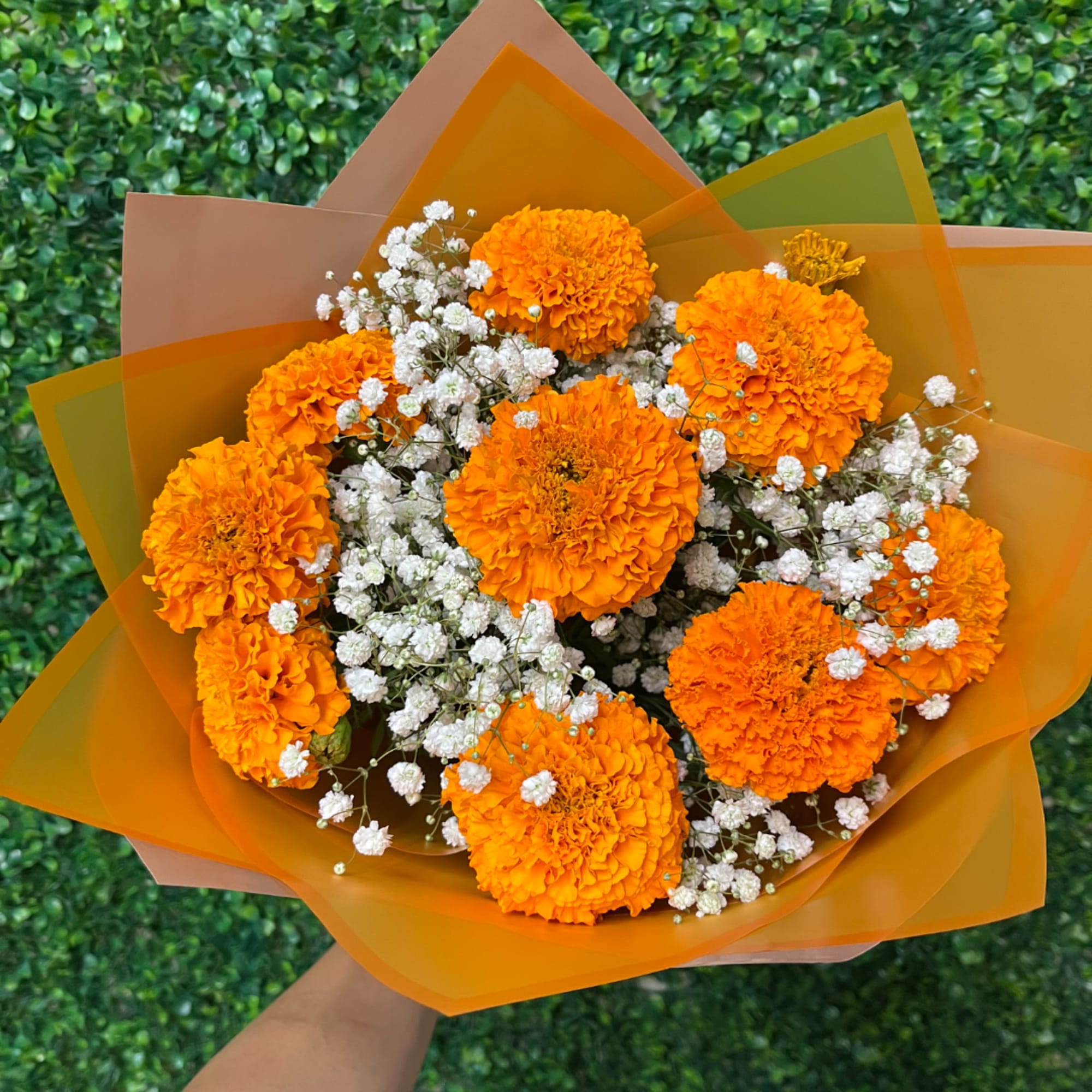 Orange marigold bouquet with white baby's breath in orange wrap