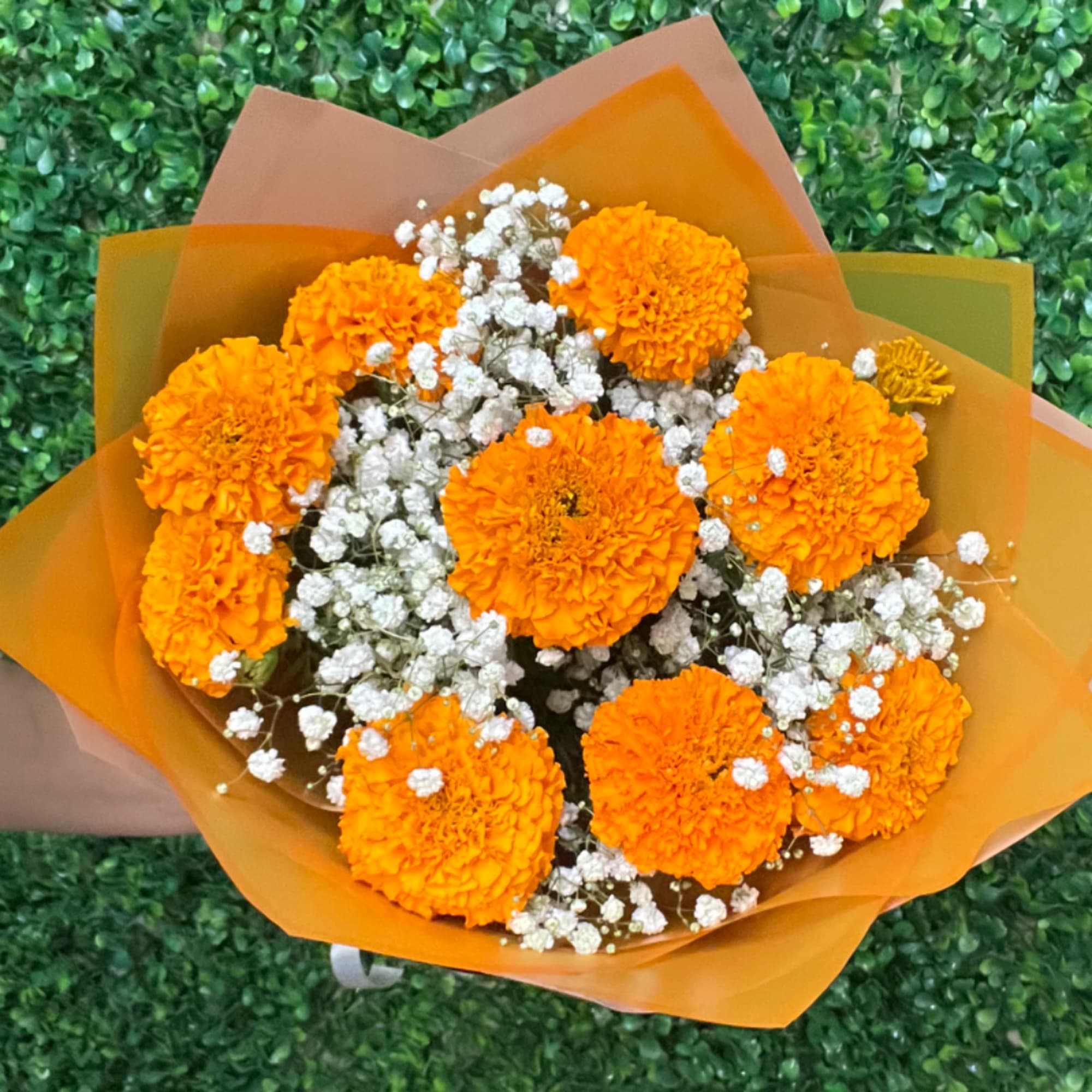 Orange marigold bouquet with white baby's breath in orange wrap, photo 3 of 3