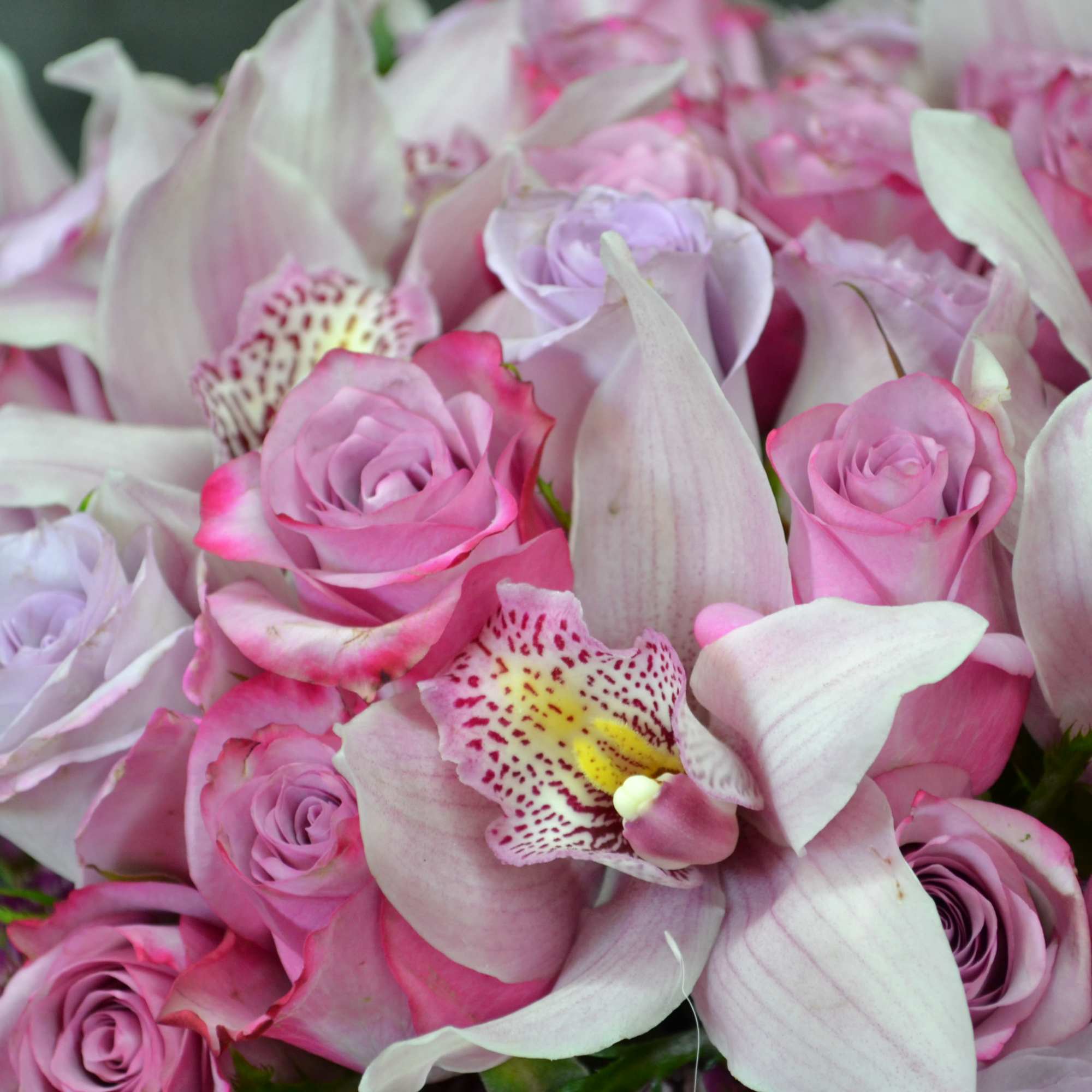 These Lavender and Purple Roses with Cymbidium Orchids and Wax flowers in, photo 2 of 2
