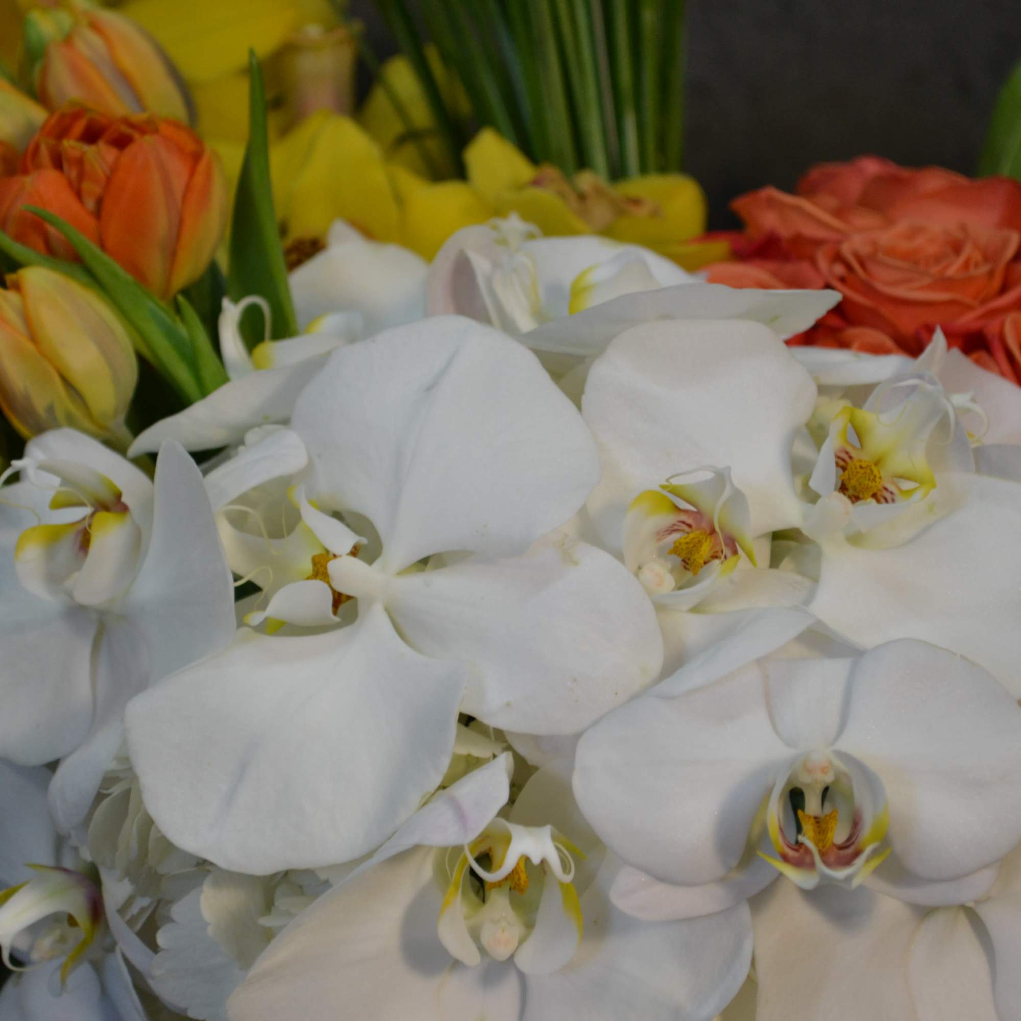 Tulips, Cymbidium Orchids, Roses, Phalaenopsis Orchids in a ceramic white vase.
 , photo 2 of 4