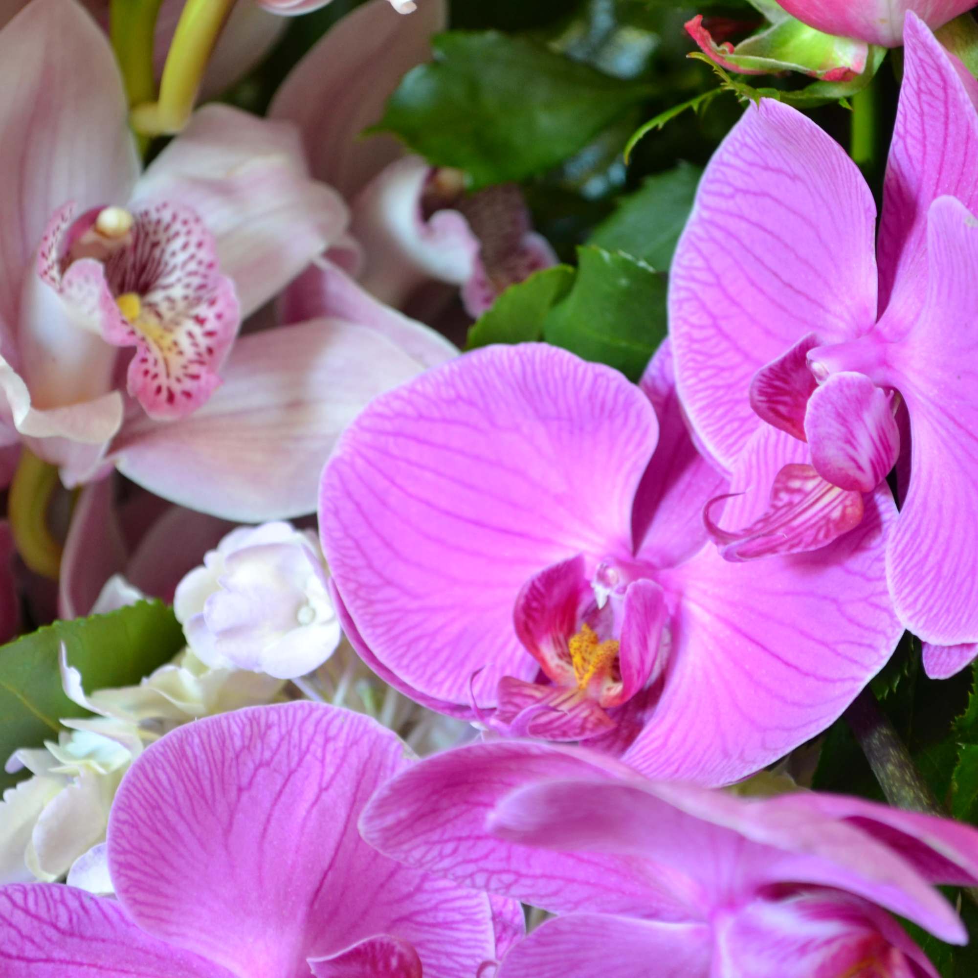 Roses, Hydrangeas, Cymbidium Orchids, Phalaenopsis Orchids. Perfectly combine and arranged in a, photo 3 of 3