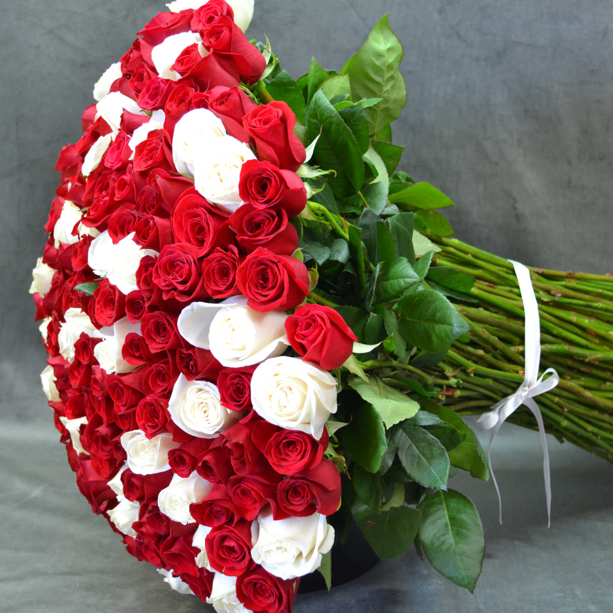 Roses and more Roses, 200 Roses to be exact. lovely , photo 2 of 4
