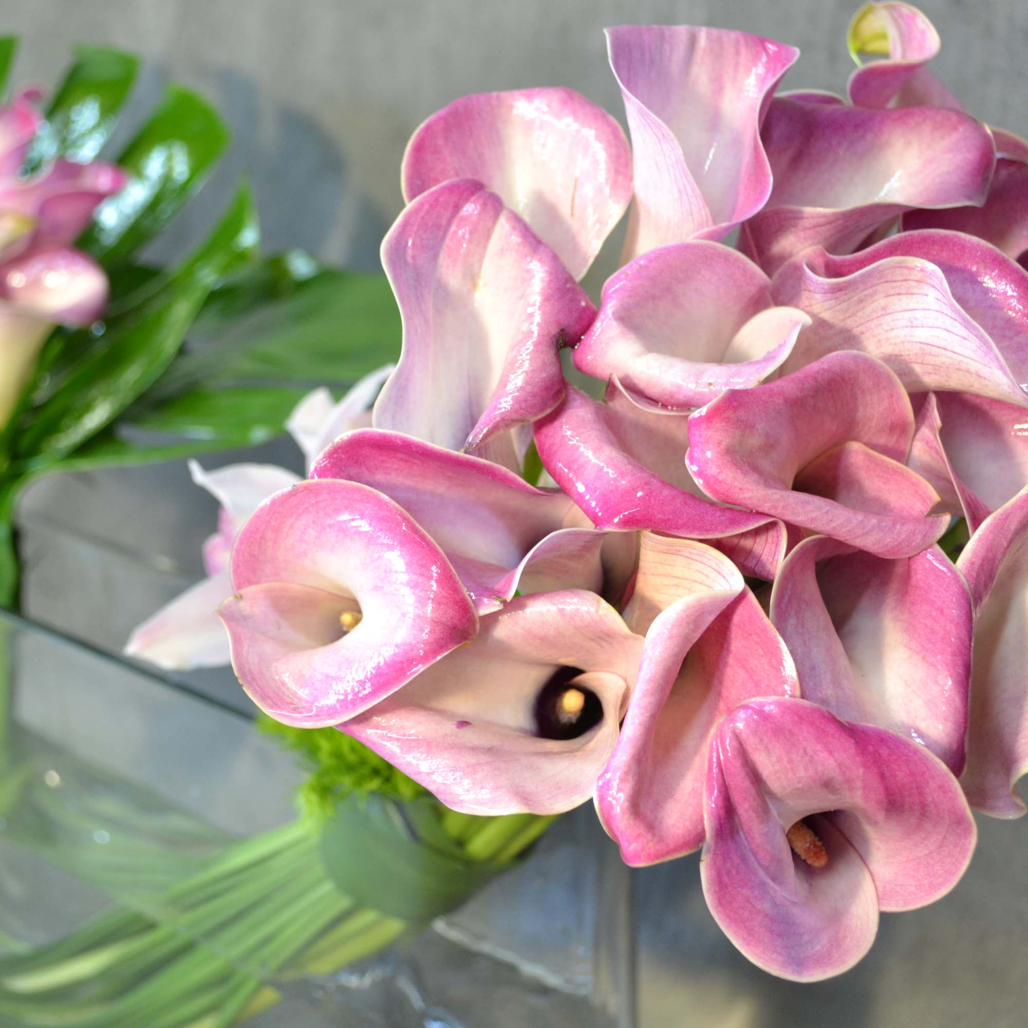 Calla lilies and a touch of cymbidium orchids and succulent., photo 2 of 3