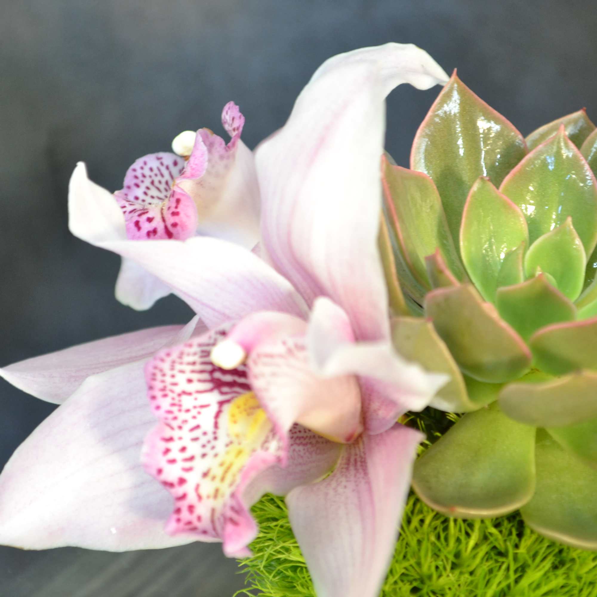 Calla lilies and a touch of cymbidium orchids and succulent., photo 3 of 3