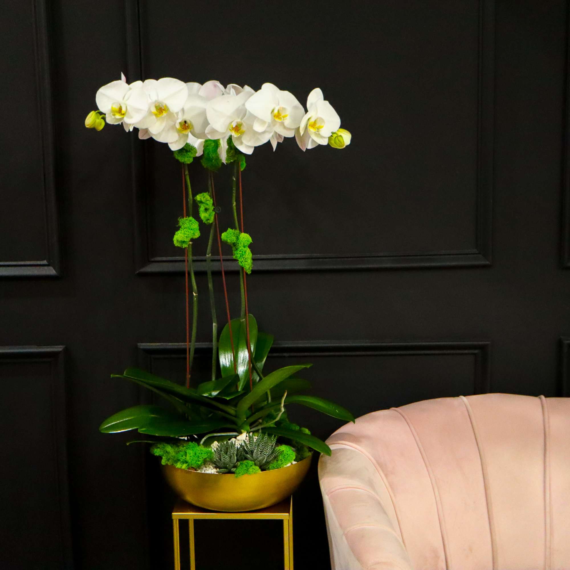 White orchid arrangement in a gold bowl on a stand