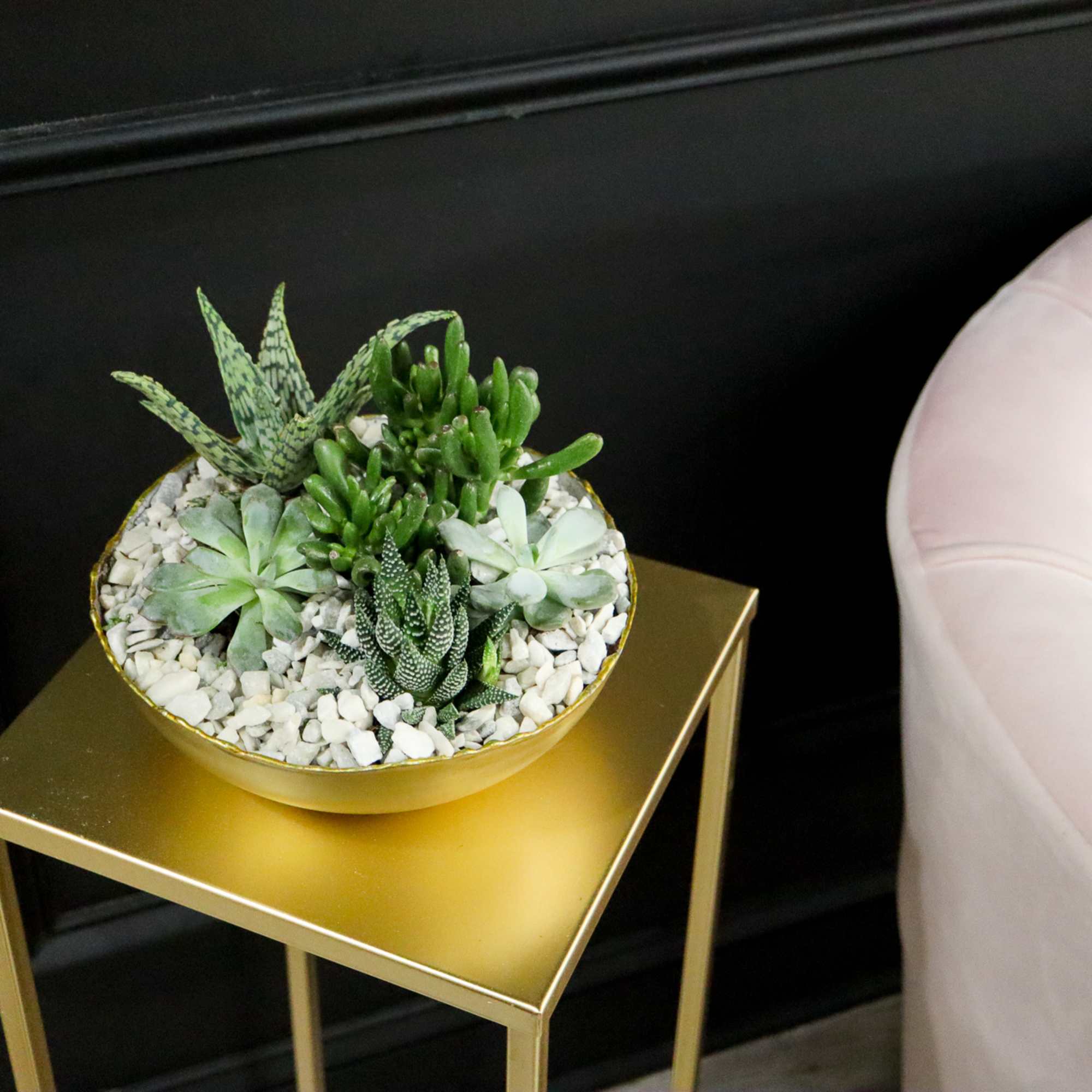 Succulent arrangement in a gold bowl on a small table