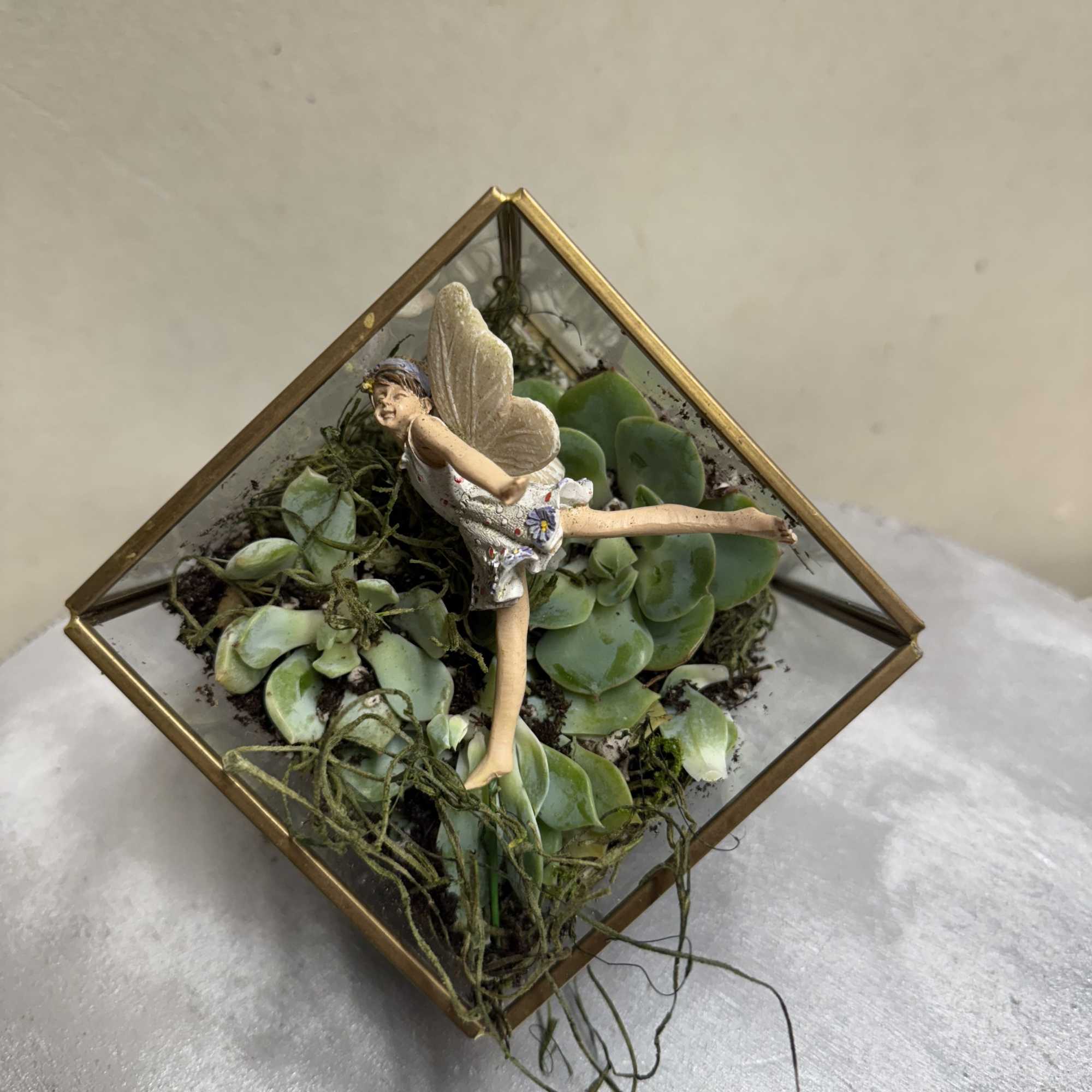 Succulent arrangement in a glass pyramid frame with a small fairy figurine