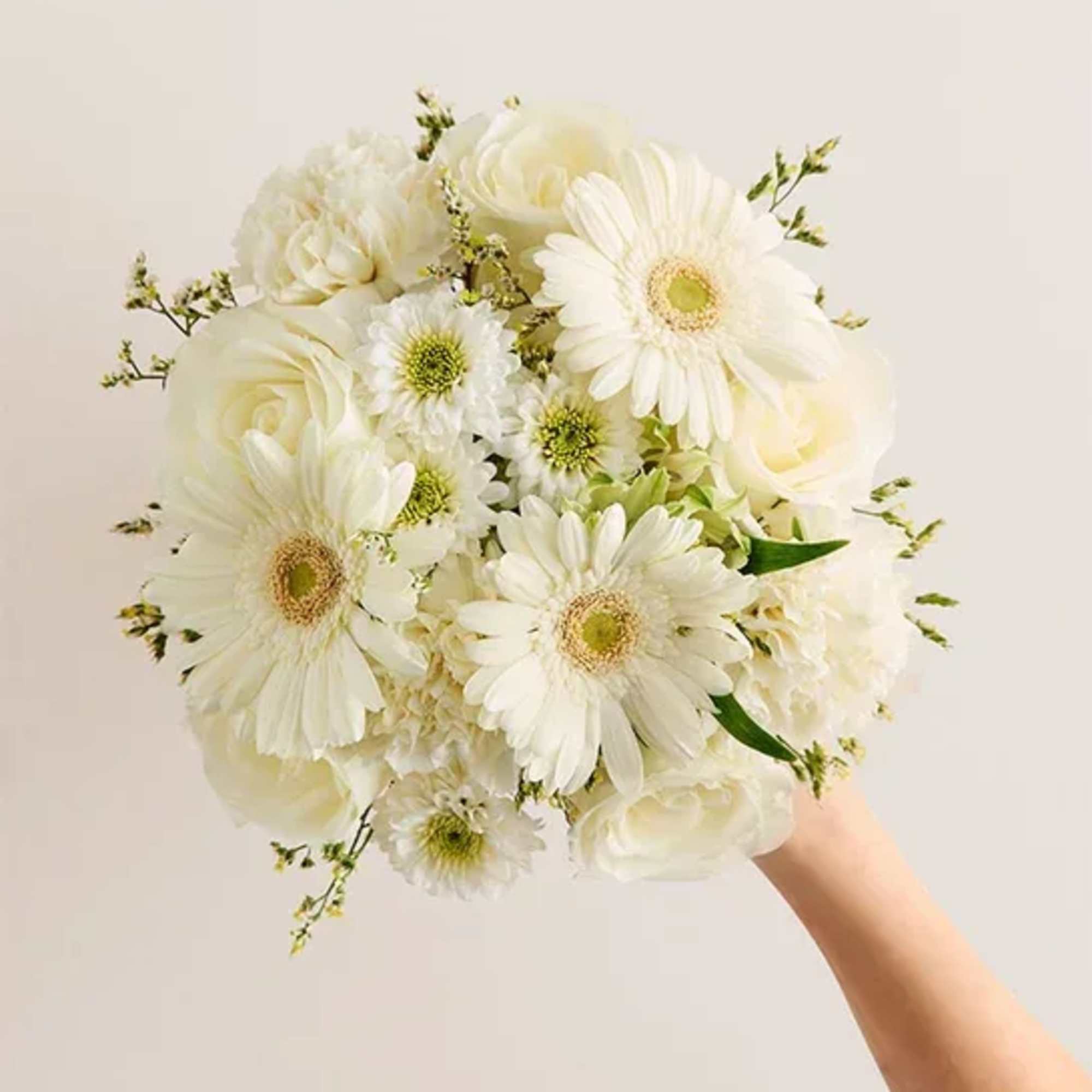 White bouquet with gerbera daisies and roses held in one hand