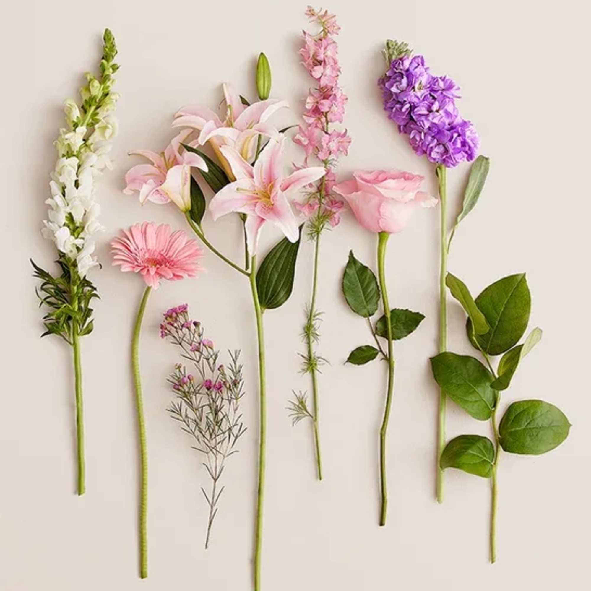 Assorted cut flowers and greenery laid out on a light background