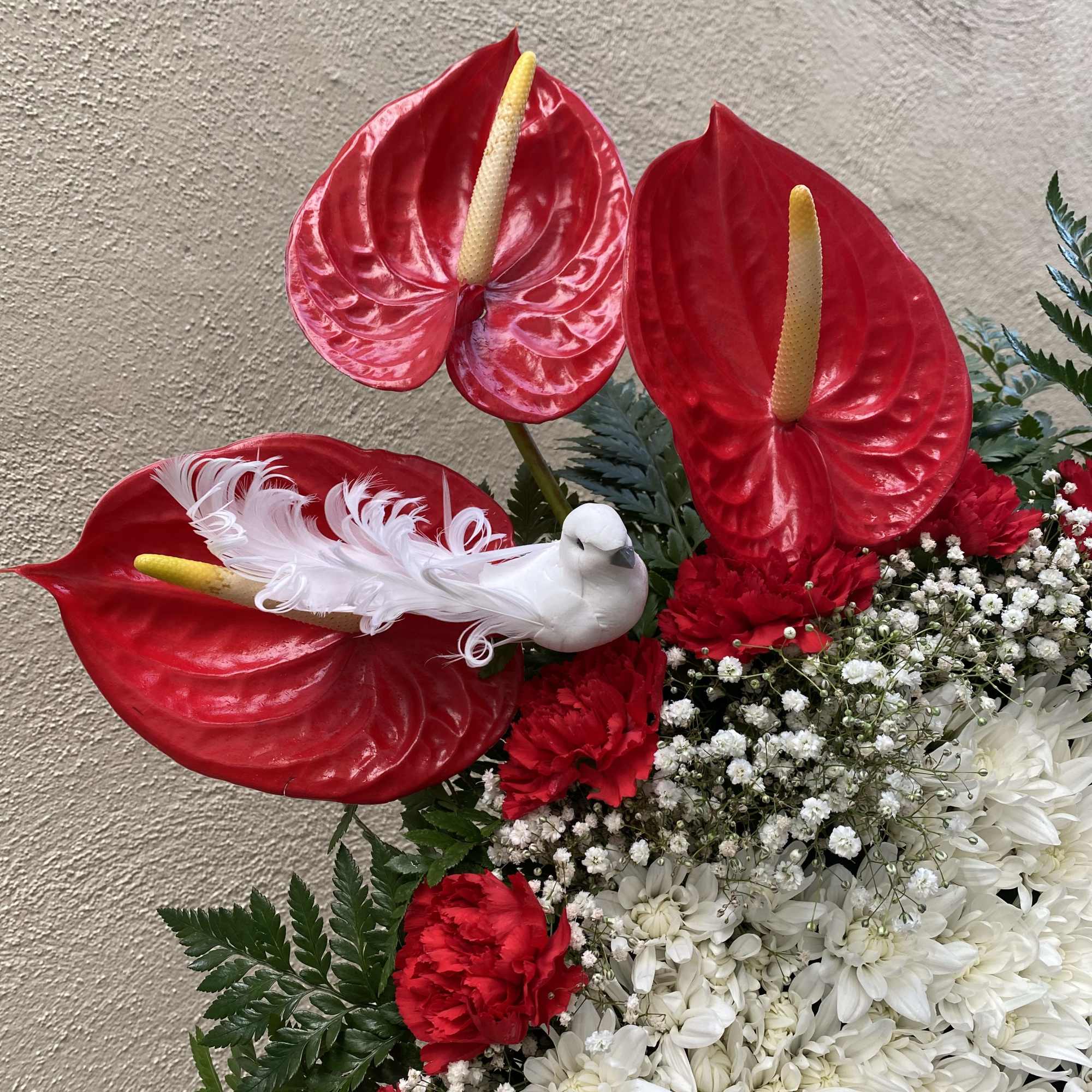 Red anthuriums with a white dove above red and white flowers