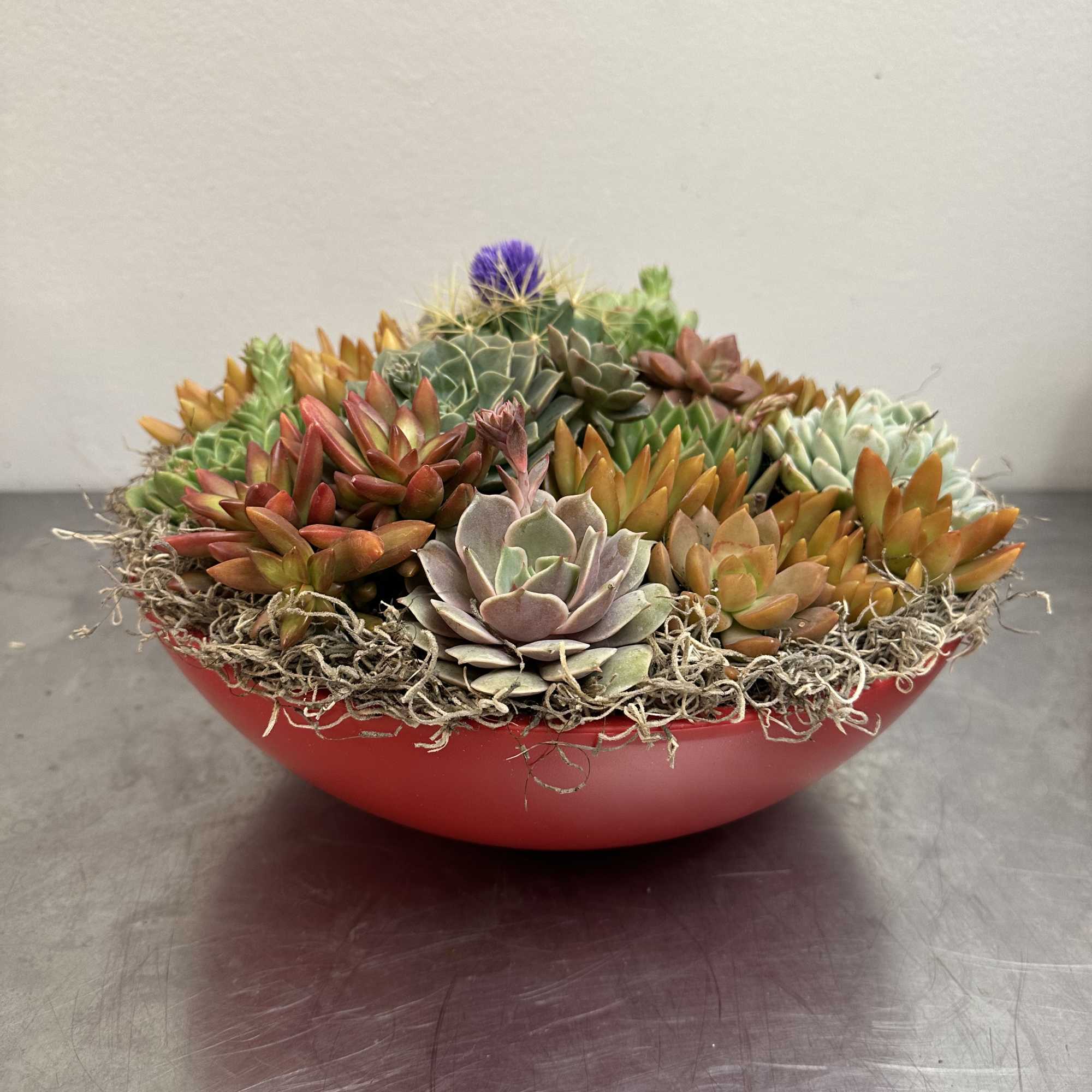 A Radiant, Lasting Gift for Mother&rsquo;s Day or any other special occasion

Surprise, photo 3 of 14
