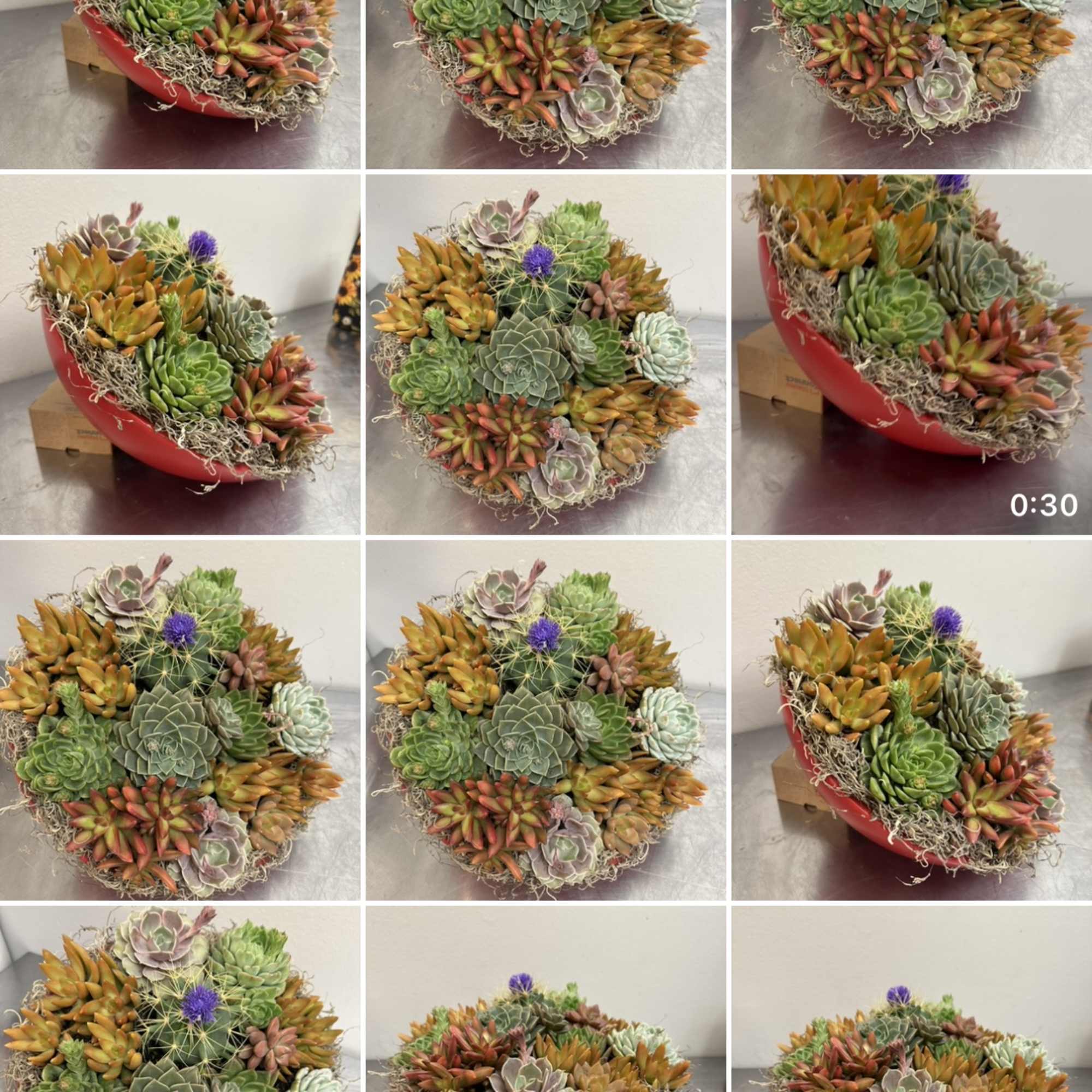 A Radiant, Lasting Gift for Mother&rsquo;s Day or any other special occasion

Surprise, photo 8 of 14