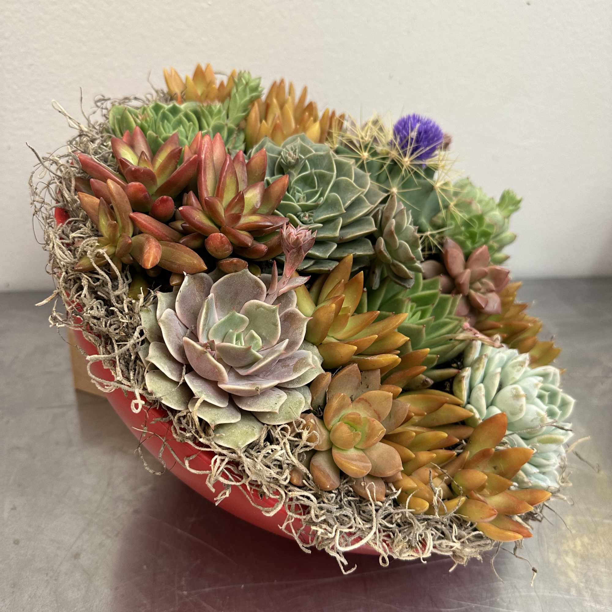 A Radiant, Lasting Gift for Mother&rsquo;s Day or any other special occasion

Surprise, photo 10 of 14