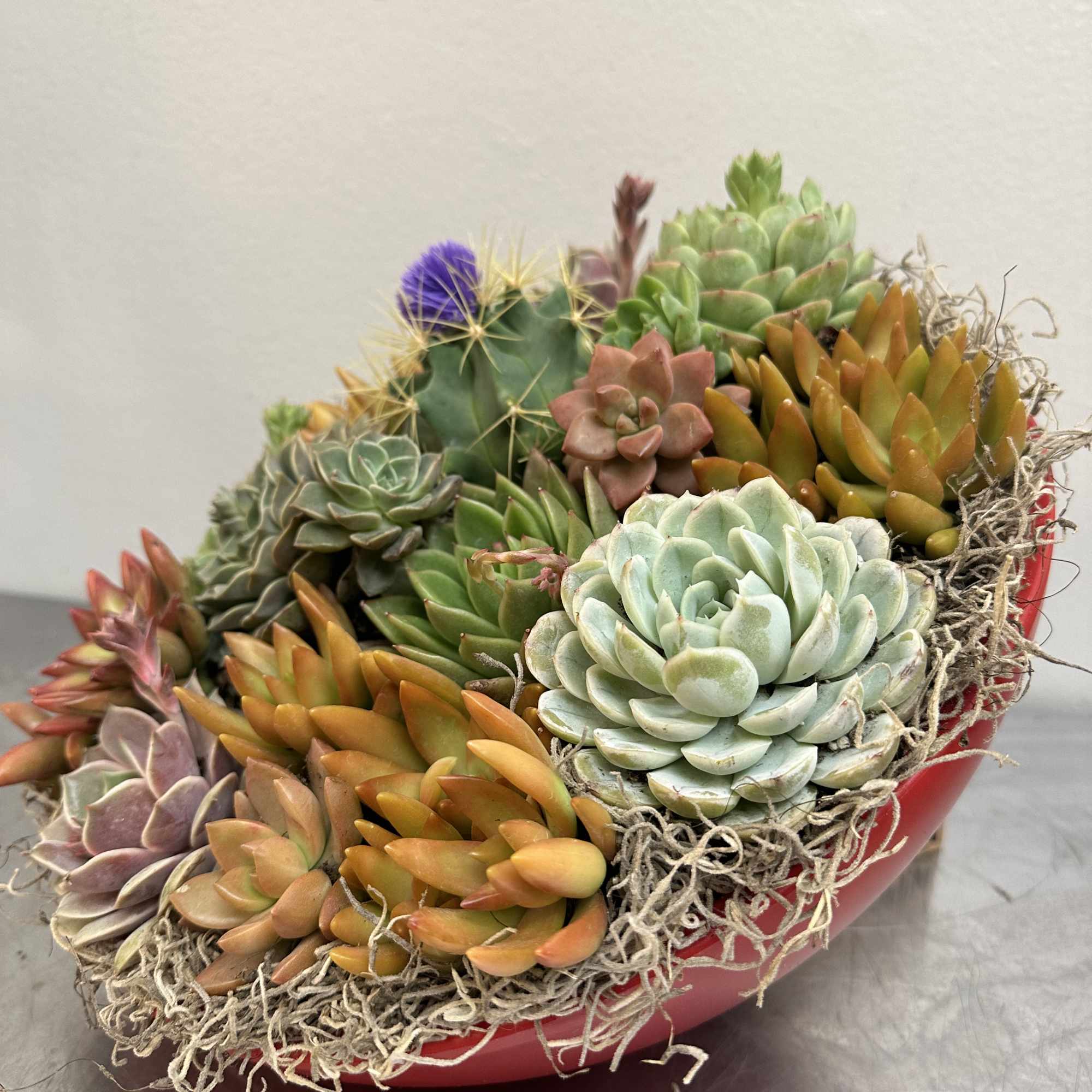 A Radiant, Lasting Gift for Mother&rsquo;s Day or any other special occasion

Surprise, photo 11 of 14