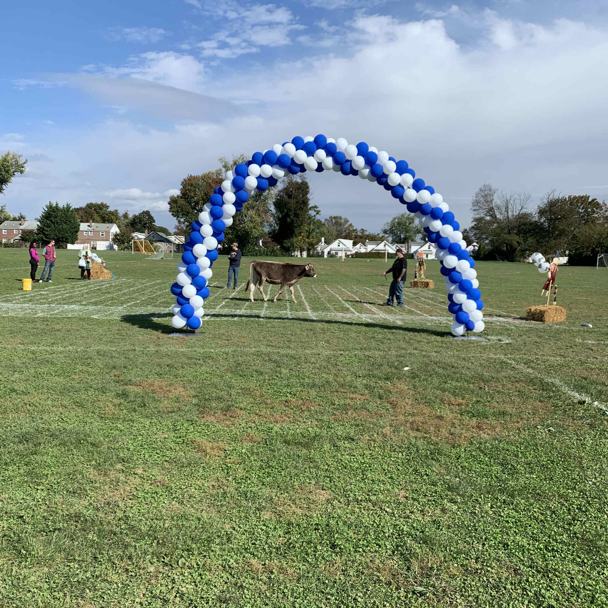 Blue and white balloon arch on a grassy field