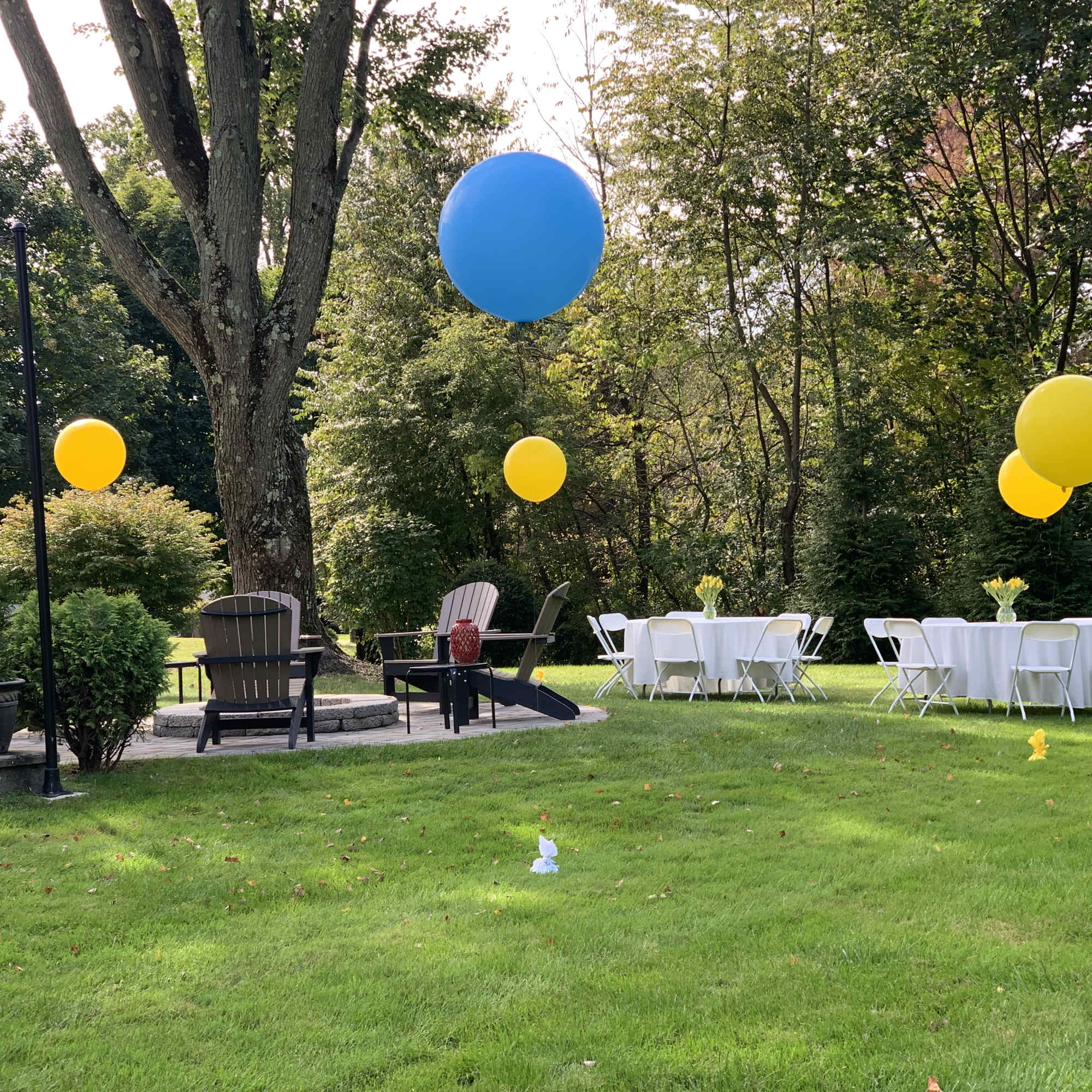 Outdoor party setup with tables, chairs, and colorful balloons in a yard
