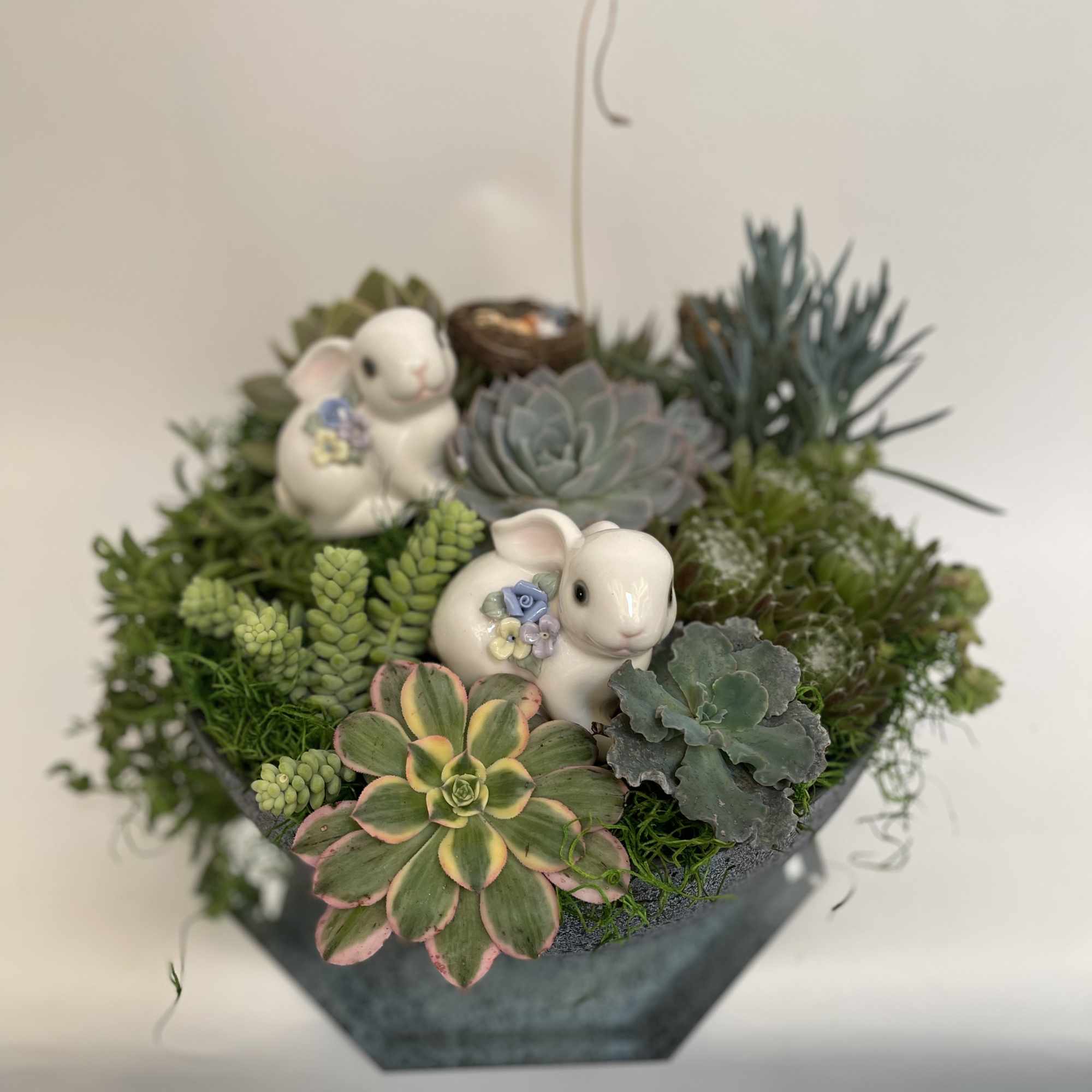 Succulent arrangement in a hanging planter with two ceramic bunny figurines
