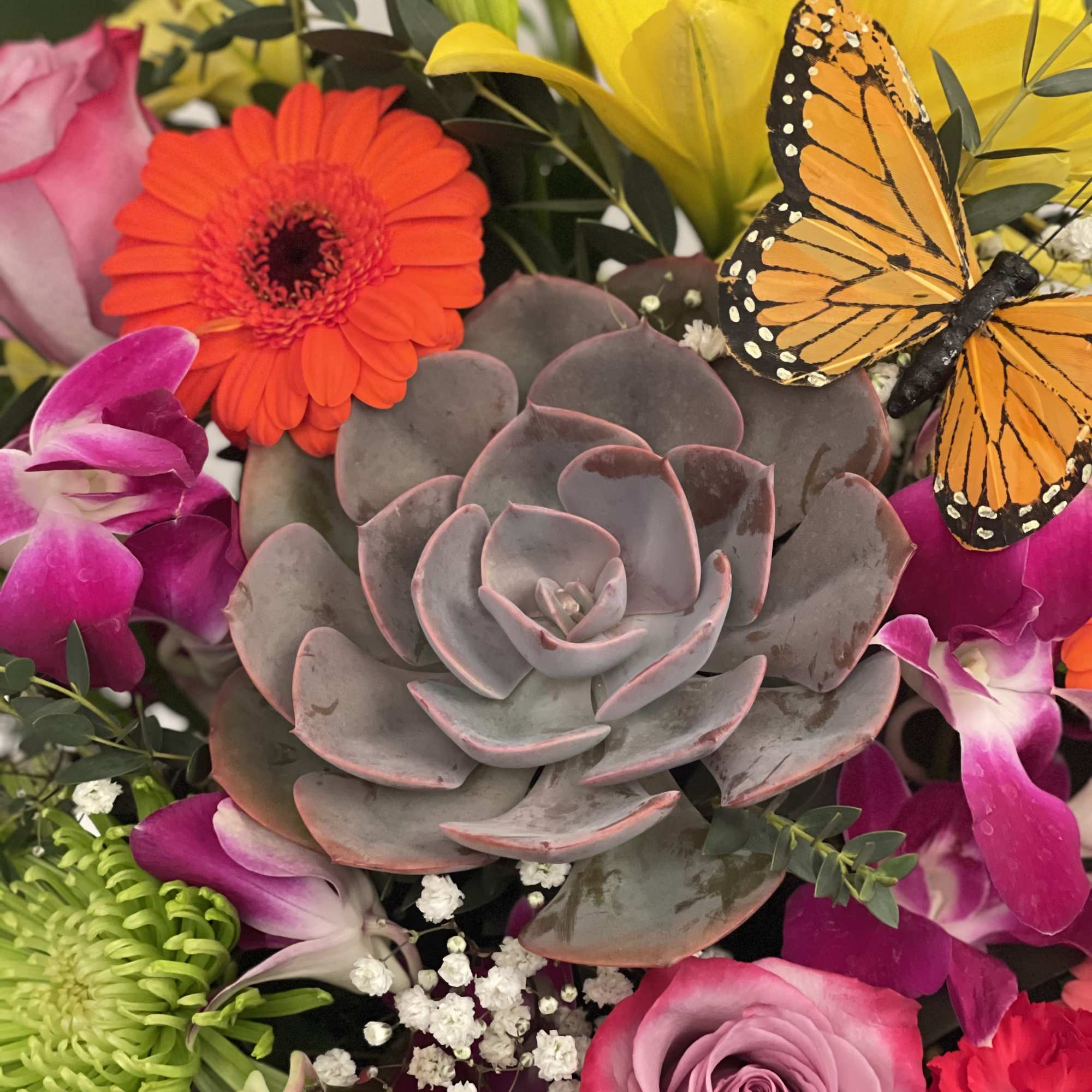 Colorful bouquet with a large succulent, roses, lilies, and a butterfly accent