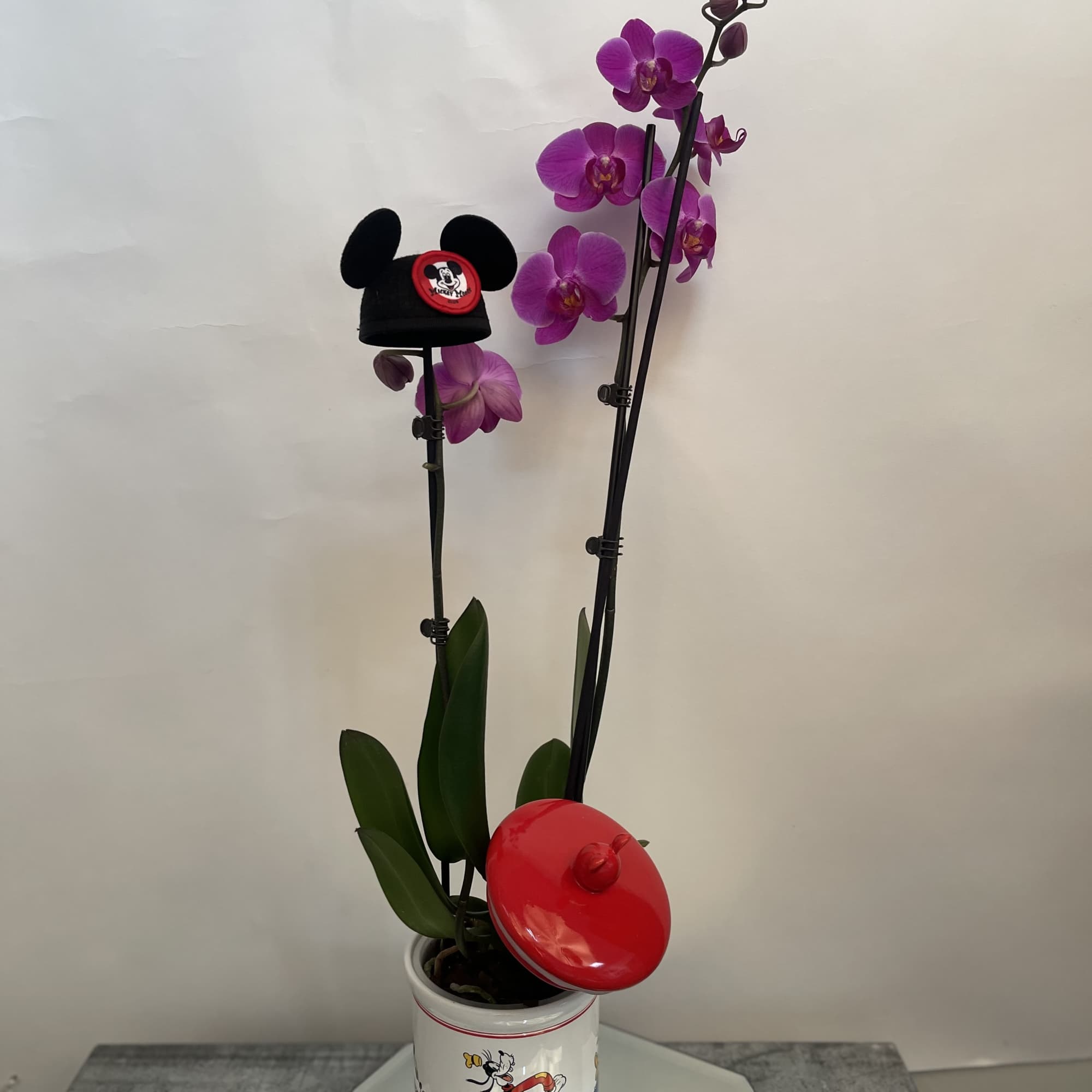 Purple orchids in a Mickey Mouse pot with decorative Disney-themed accents