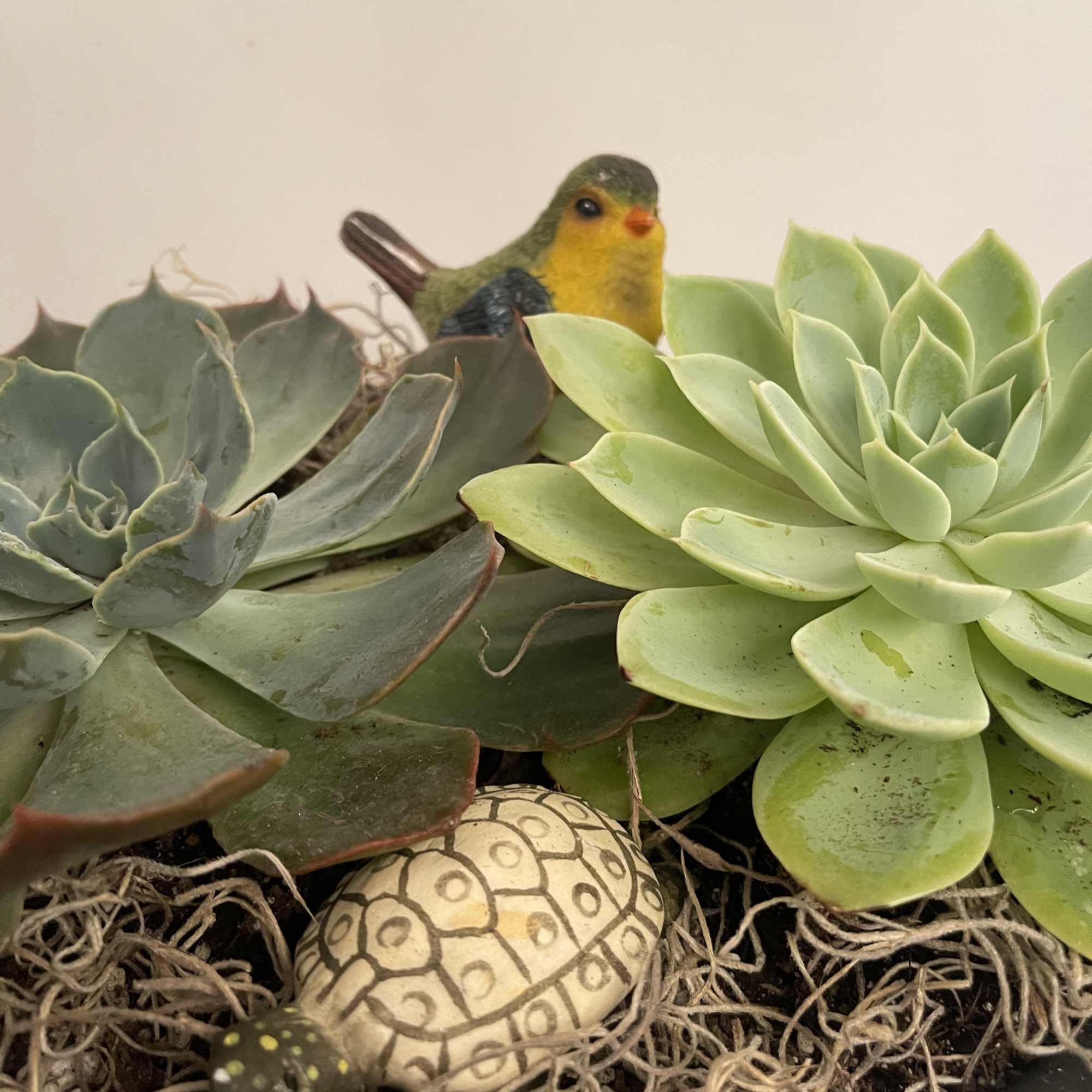 Succulent arrangement with a small bird figurine and painted stones