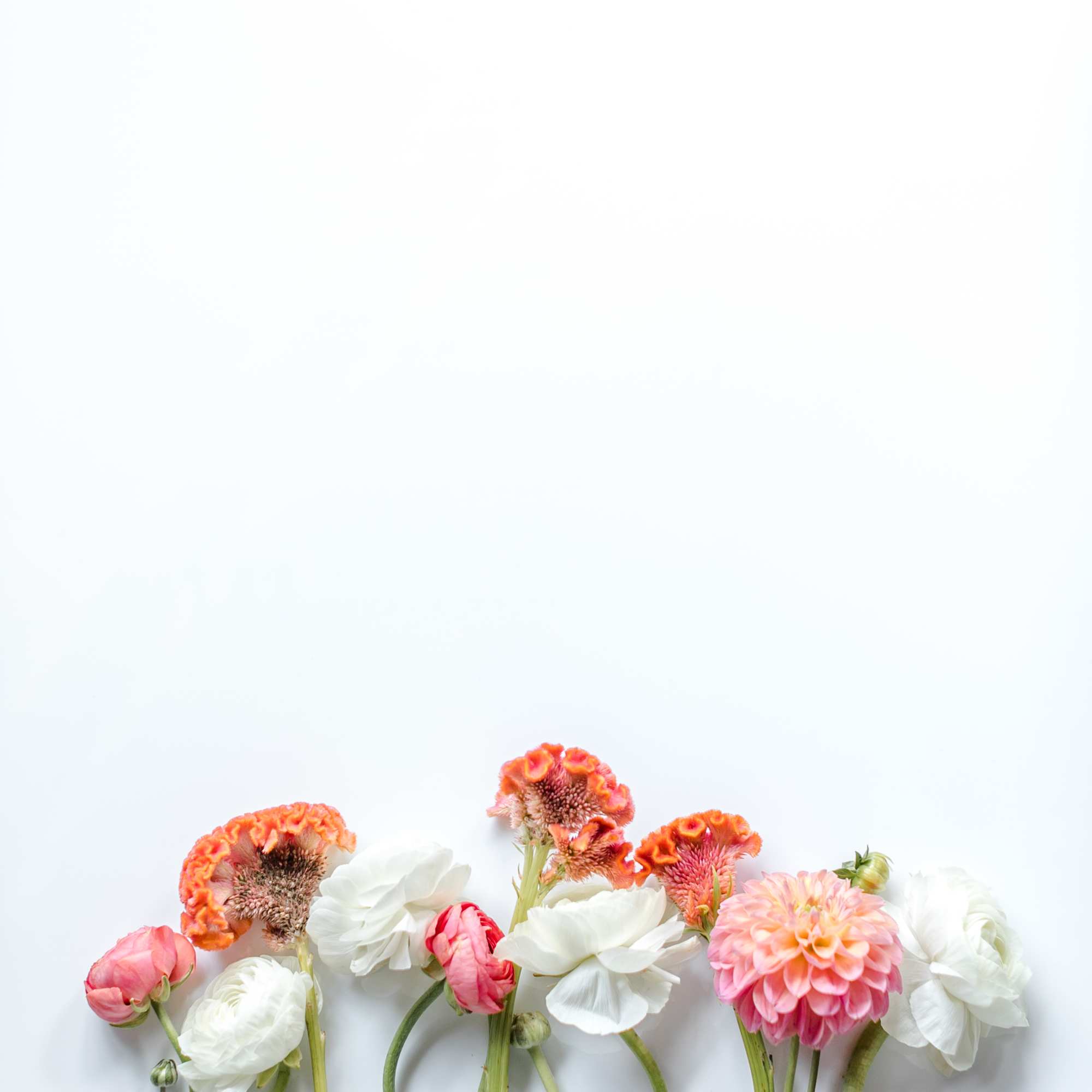 Let us make you something magical! We will use the newest, freshest