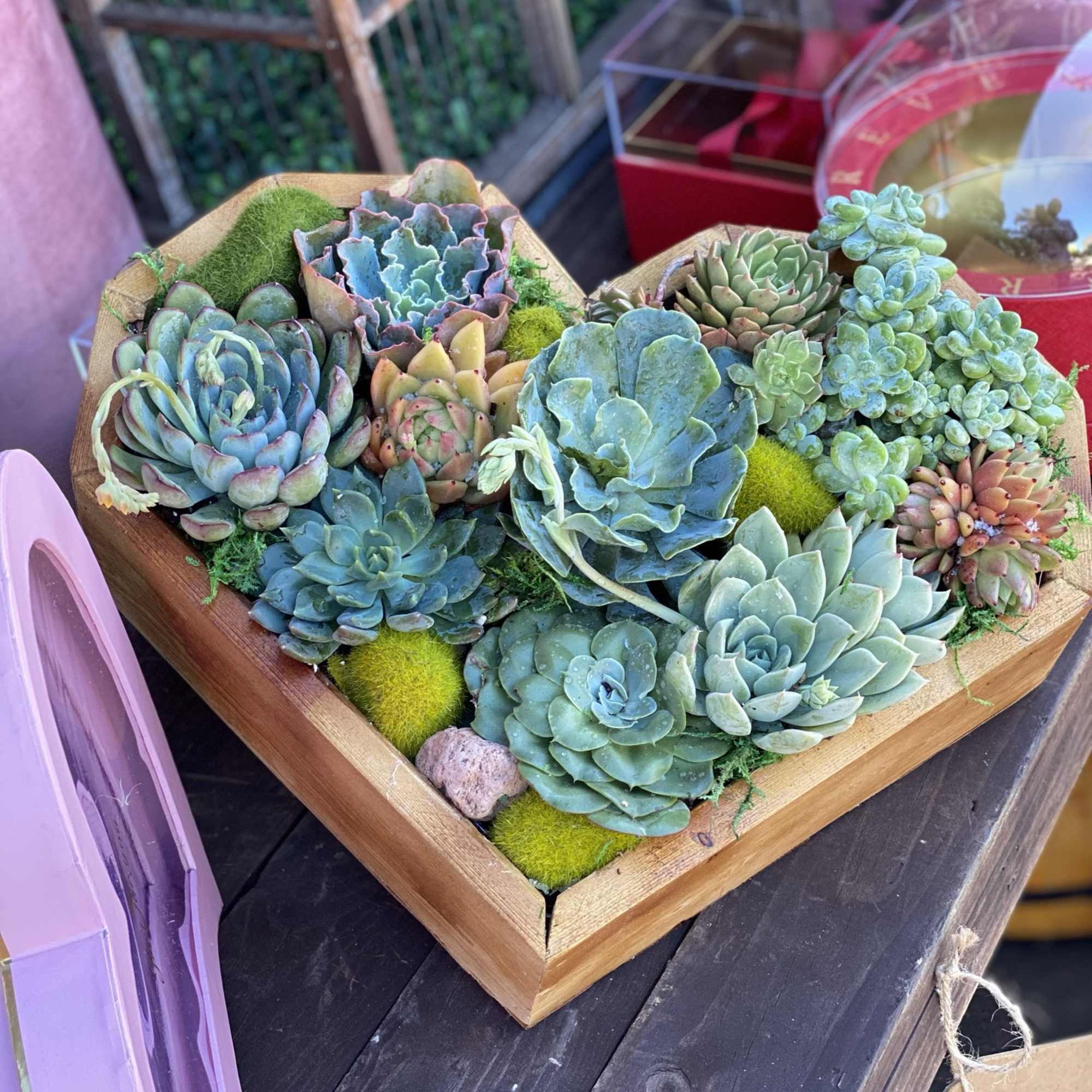 Heart shaped wood container with succulents plants, photo 2 of 2