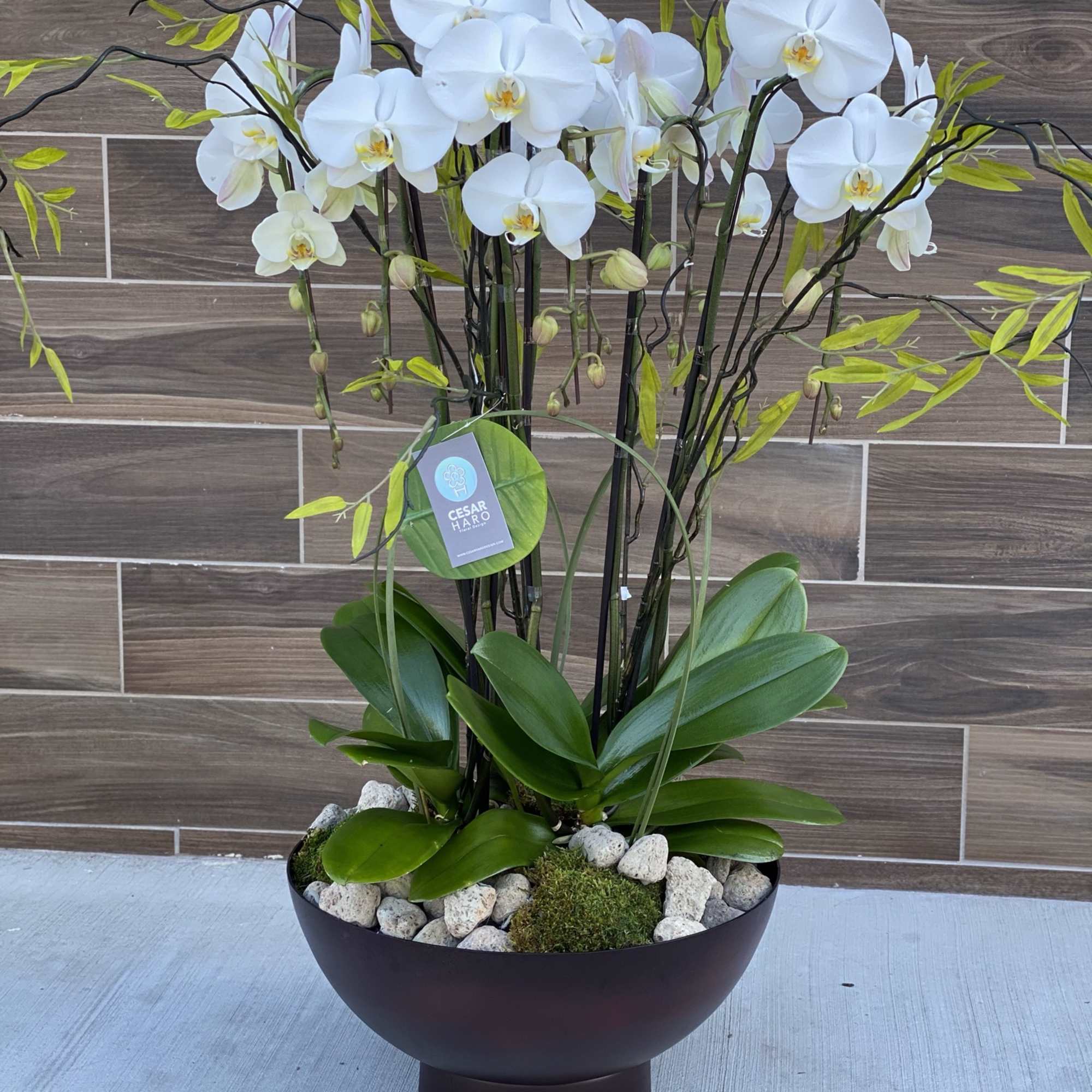 Metallic brown earth color toned bowl with charming orchids, stone and rocks