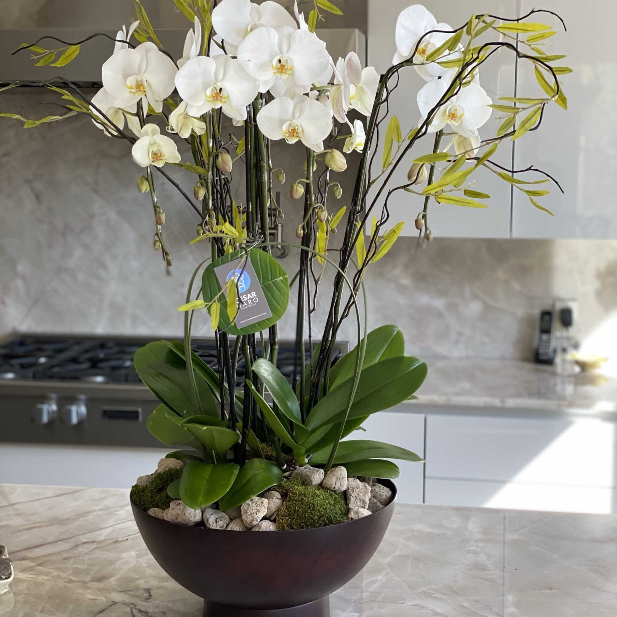 Metallic brown earth color toned bowl with charming orchids, stone and rocks, photo 2 of 2
