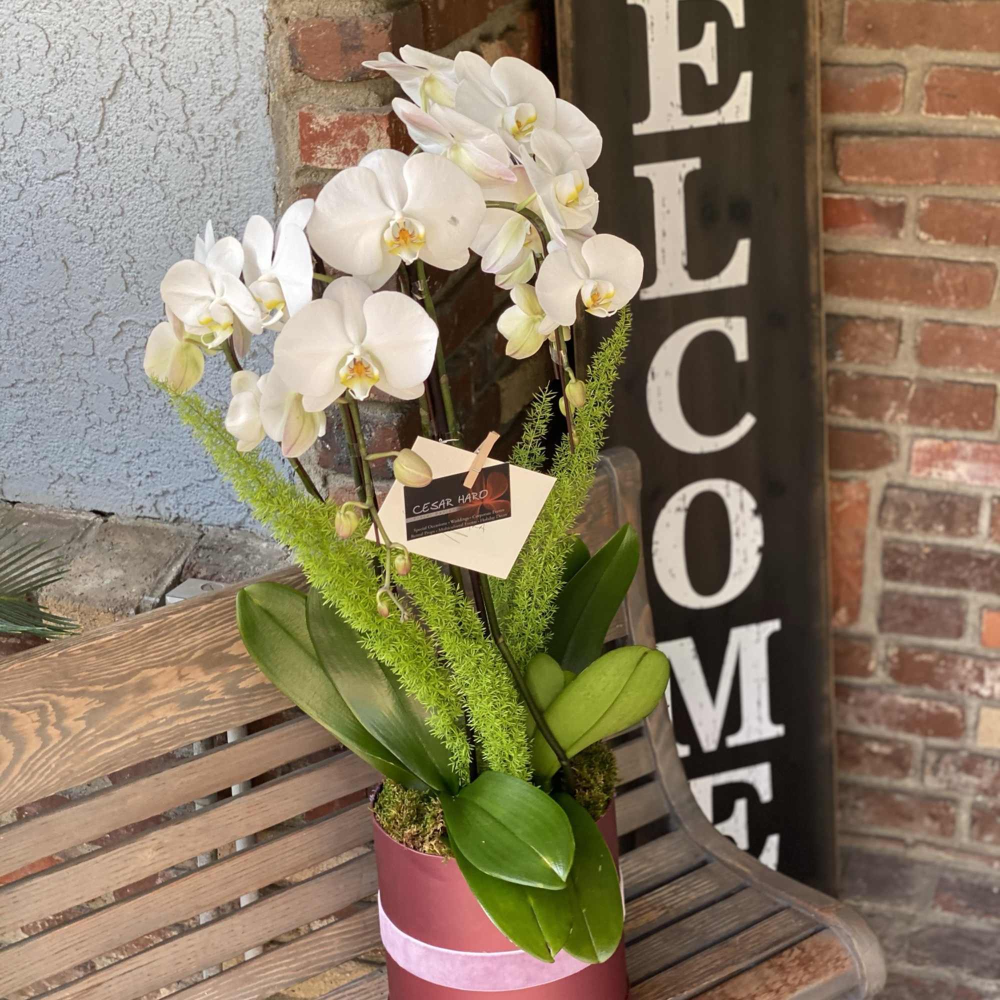 Cardboard flower box with elegantly designed orchids and greenery decorations.
