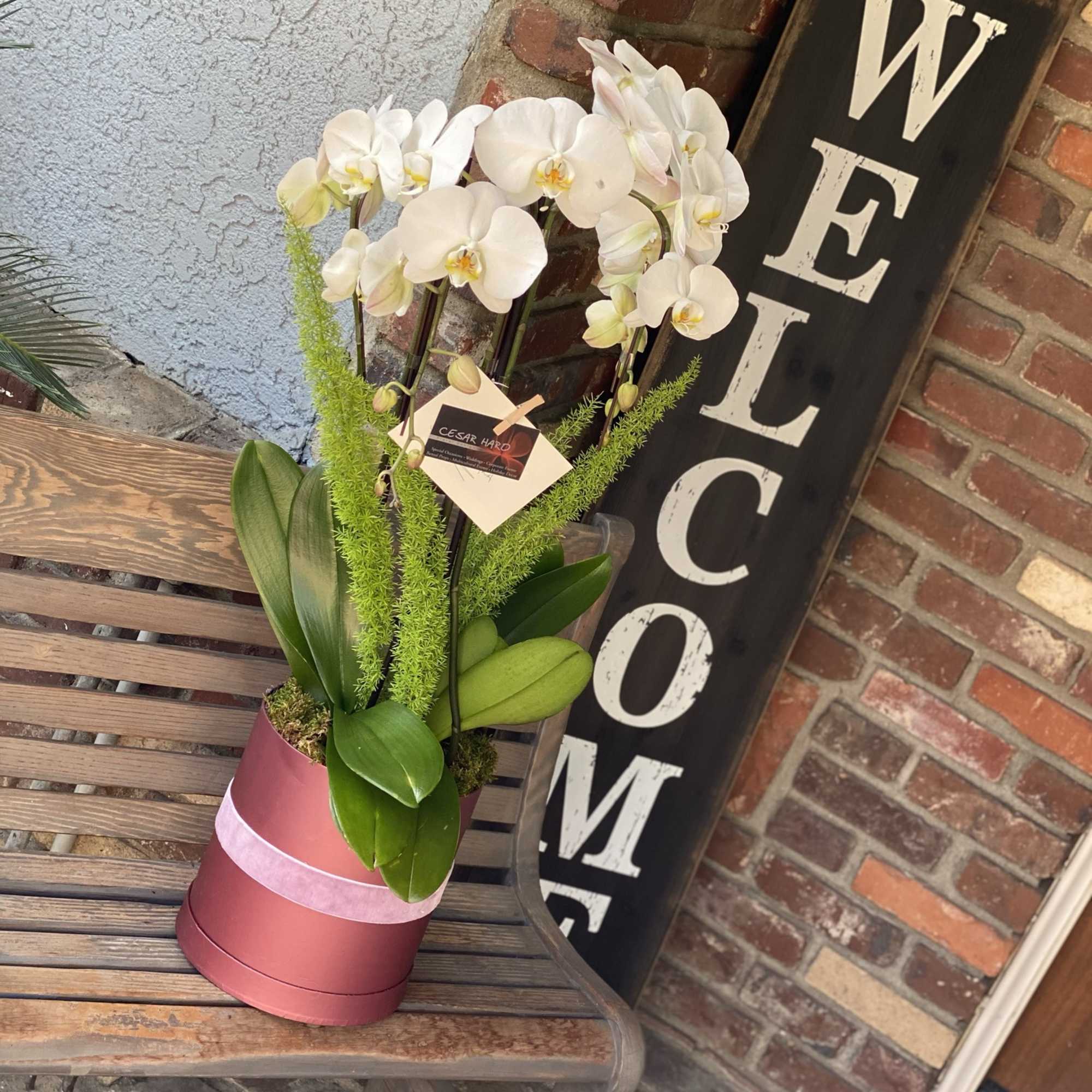 Cardboard flower box with elegantly designed orchids and greenery decorations., photo 2 of 2