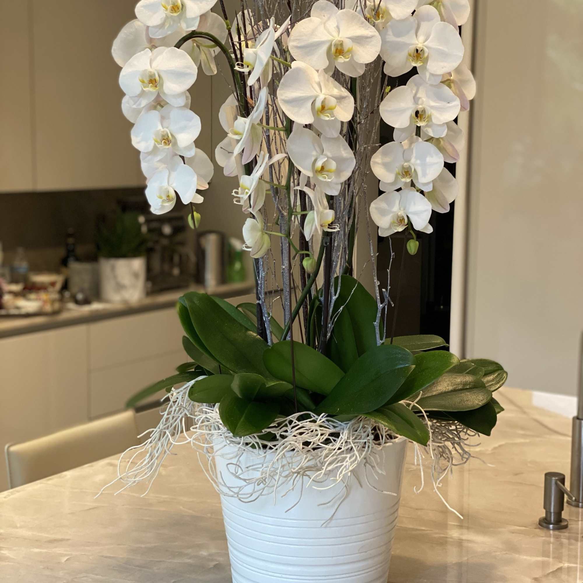 Ceramic white vase with pure nicely arranged orchids 