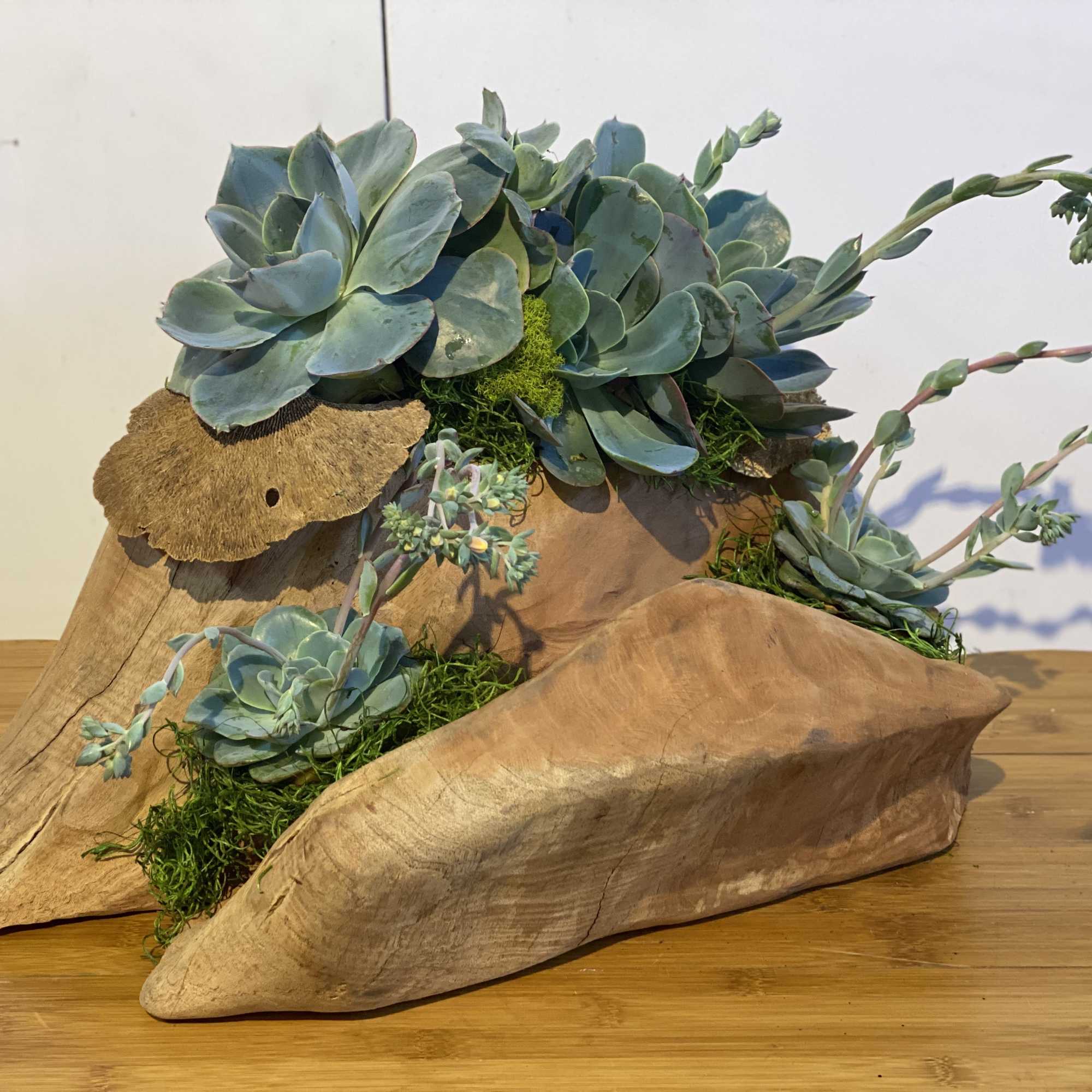 Unique wood piece adorned with large succulent clusters with preserved mushrooms and, photo 3 of 3