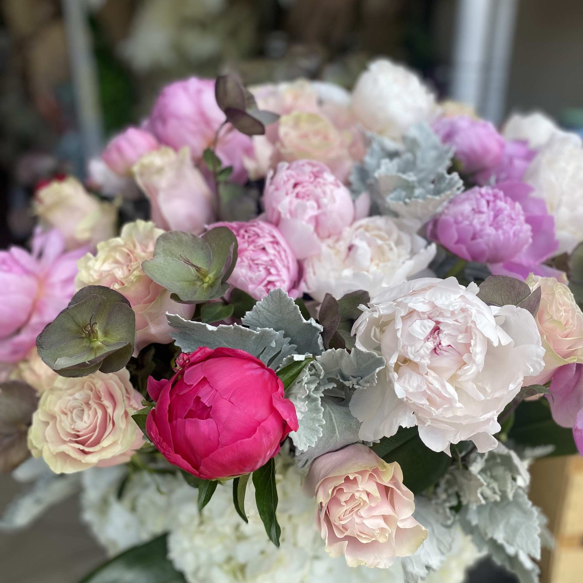 Outrageously beautiful in bloom with the most scrumptious flowers, enjoy this breathtaking